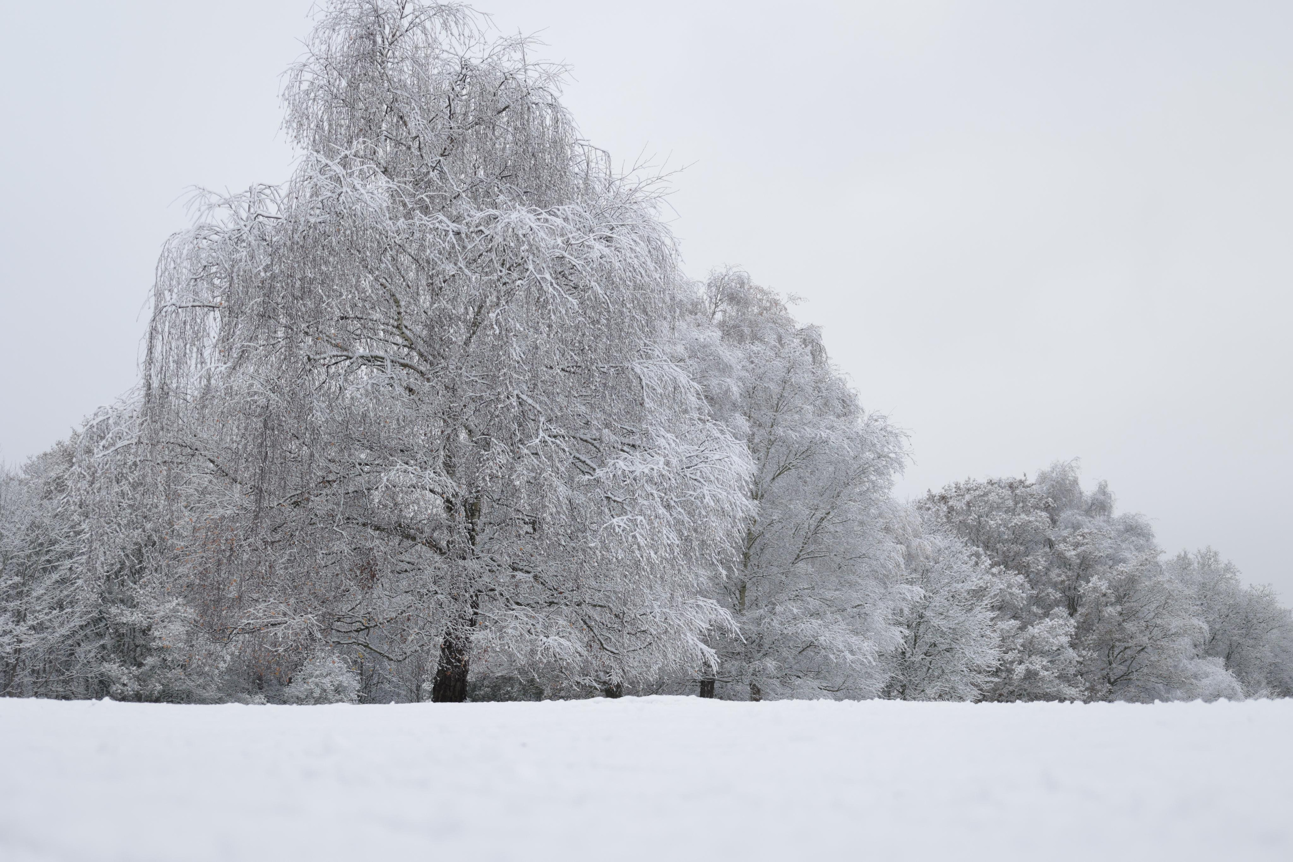 Landscapes. Couples and portraits photographer Wimbledon London