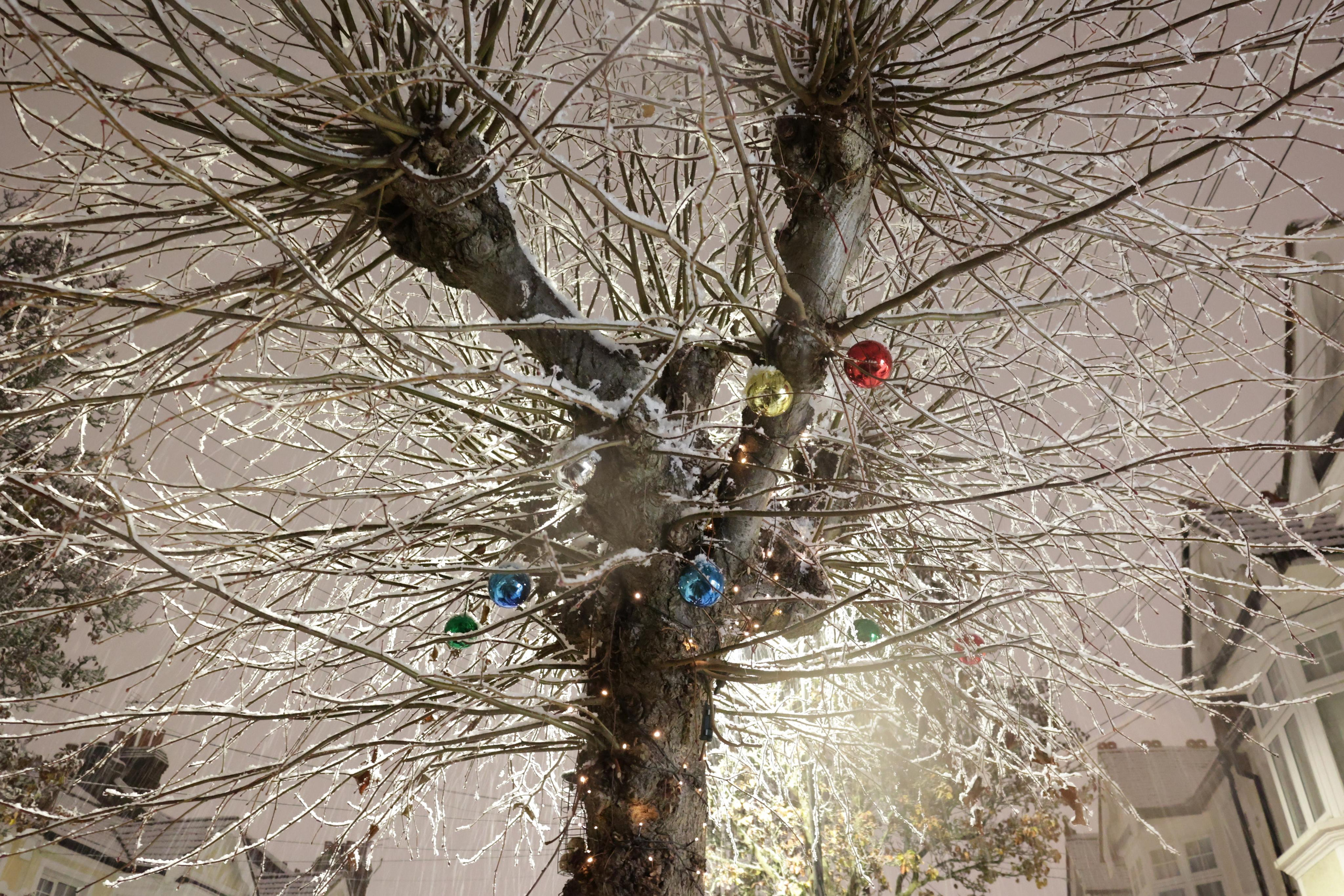 Landscapes. Couples and portraits photographer Wimbledon London