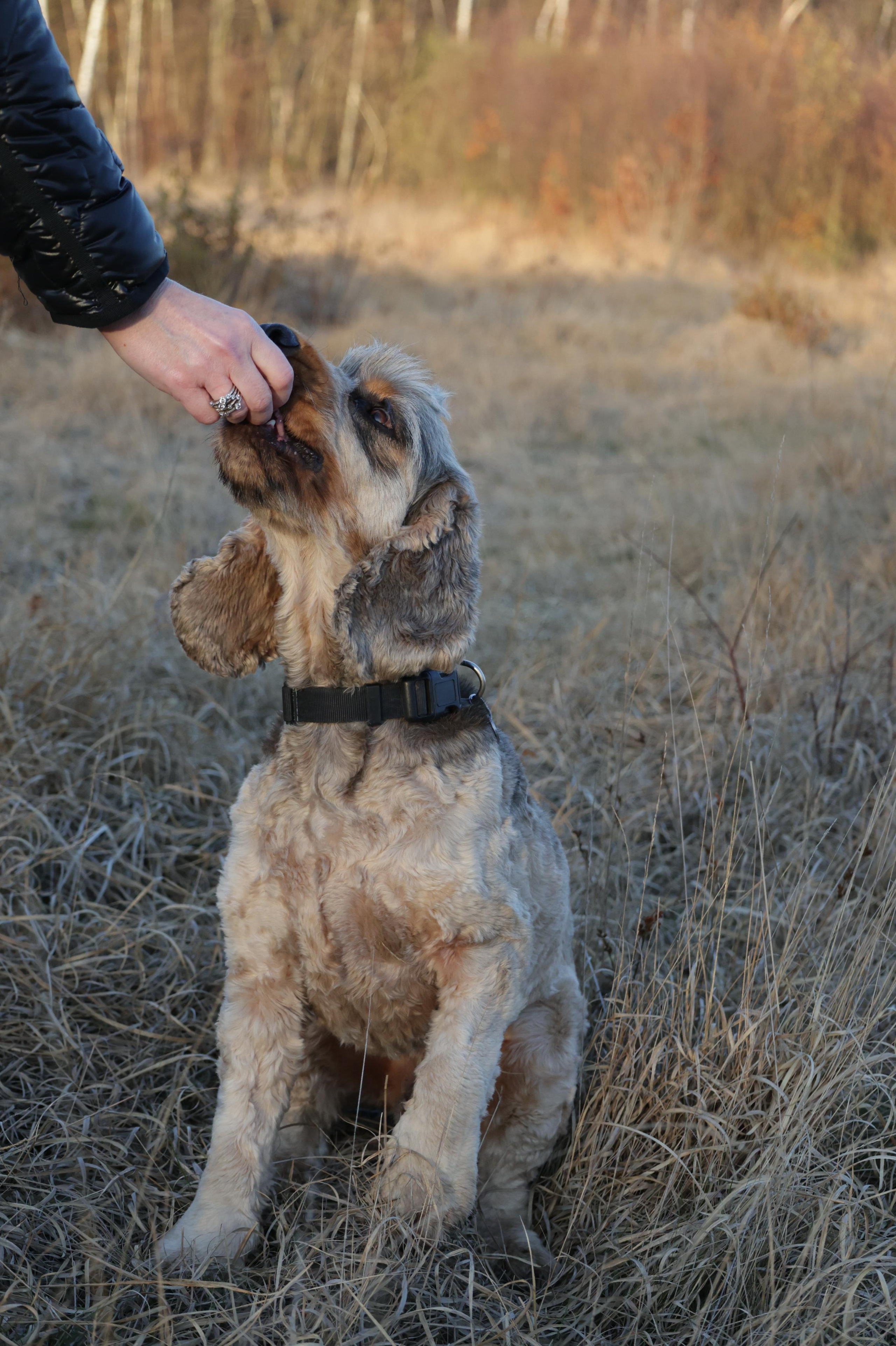 Charles. Couples and portraits photographer Wimbledon London
