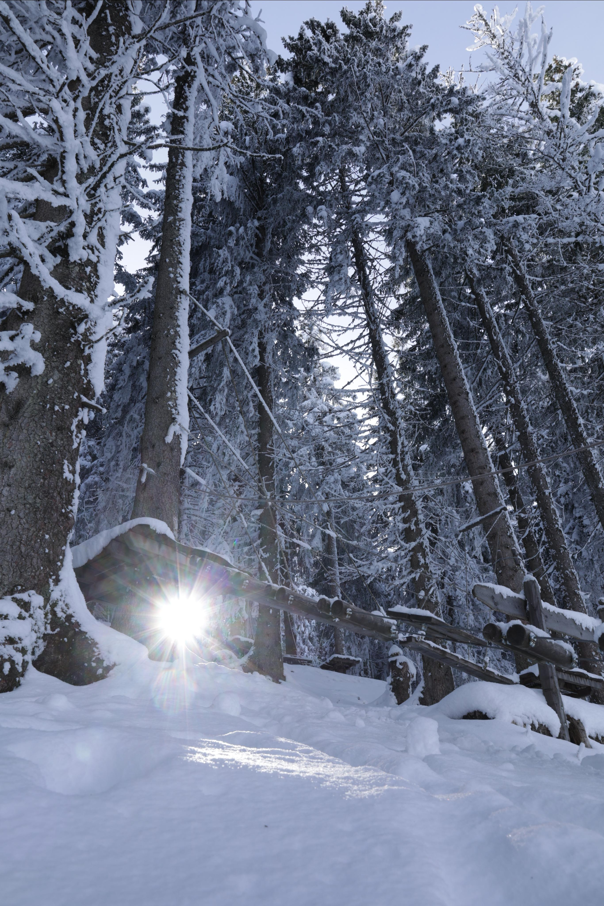 Landscapes. Couples and portraits photographer Wimbledon London