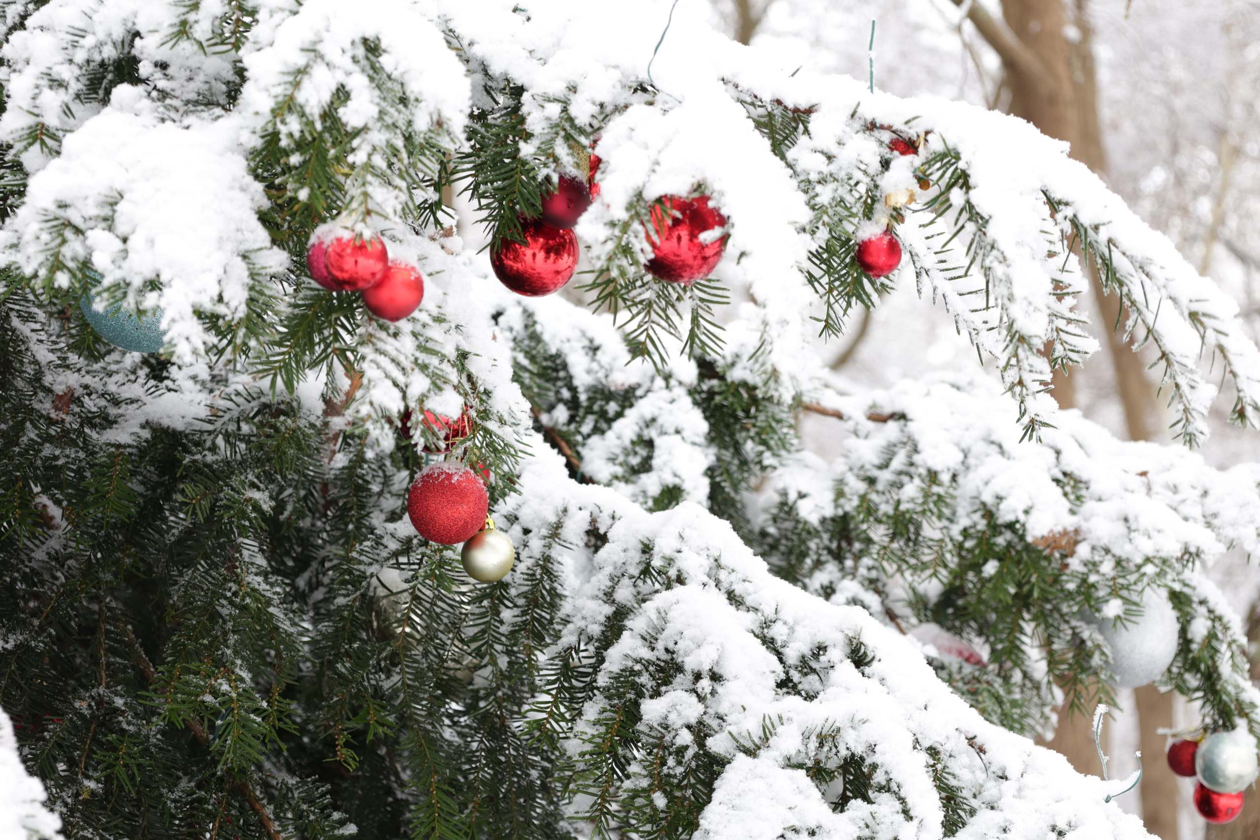 Landscapes. Couples and portraits photographer Wimbledon London