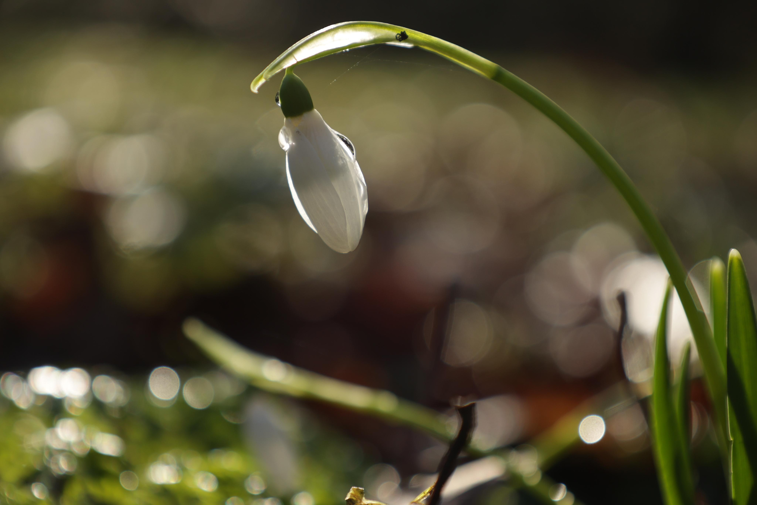 Landscapes. Couples and portraits photographer Wimbledon London