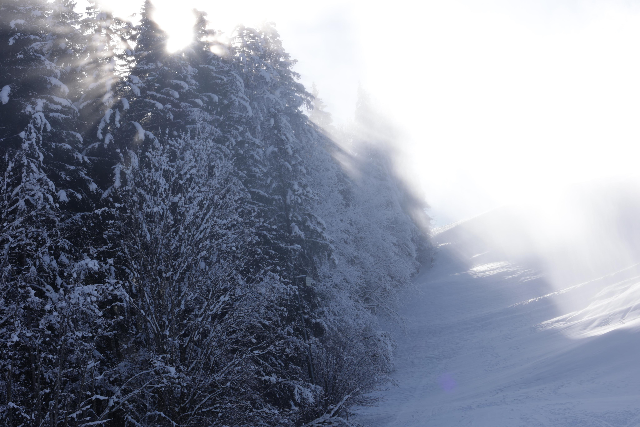 Landscapes. Couples and portraits photographer Wimbledon London