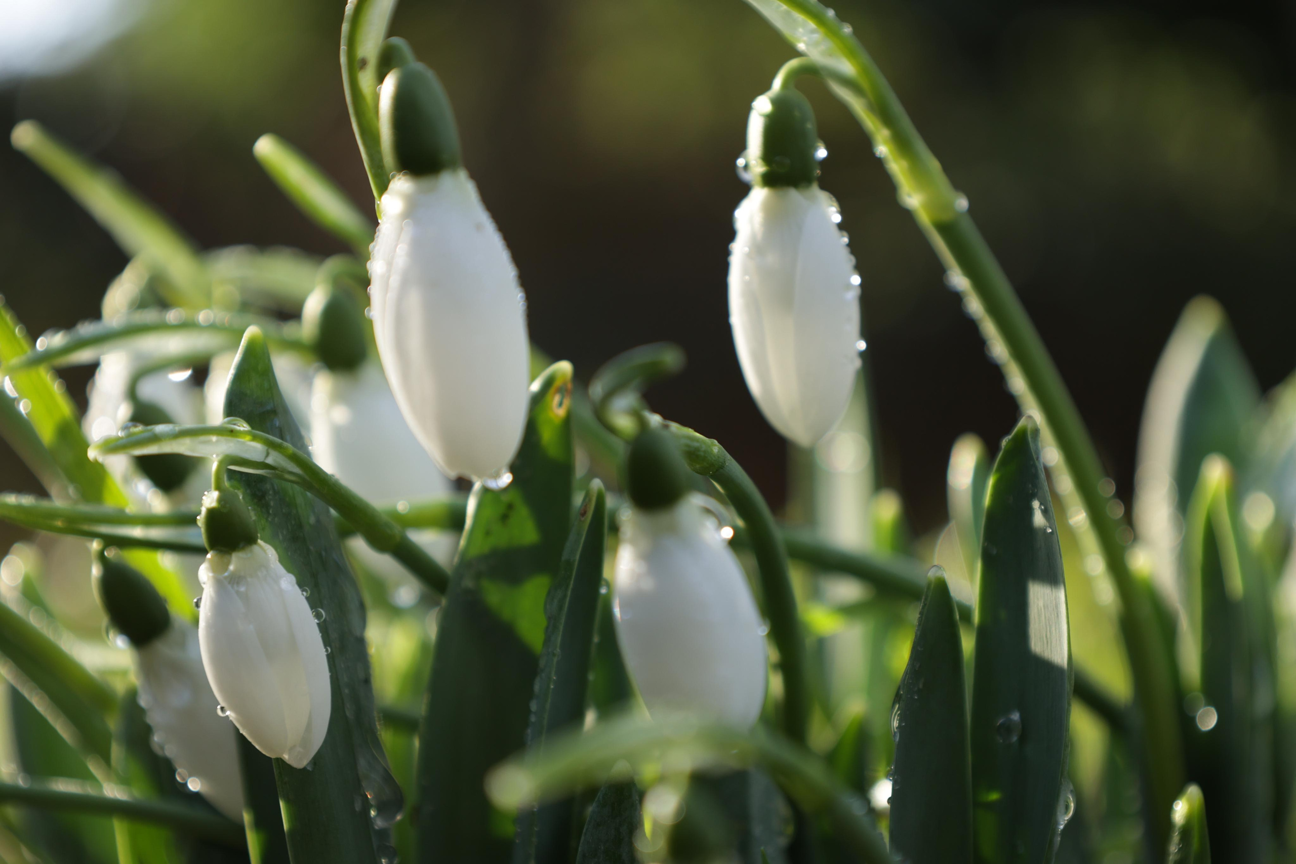 Landscapes. Couples and portraits photographer Wimbledon London