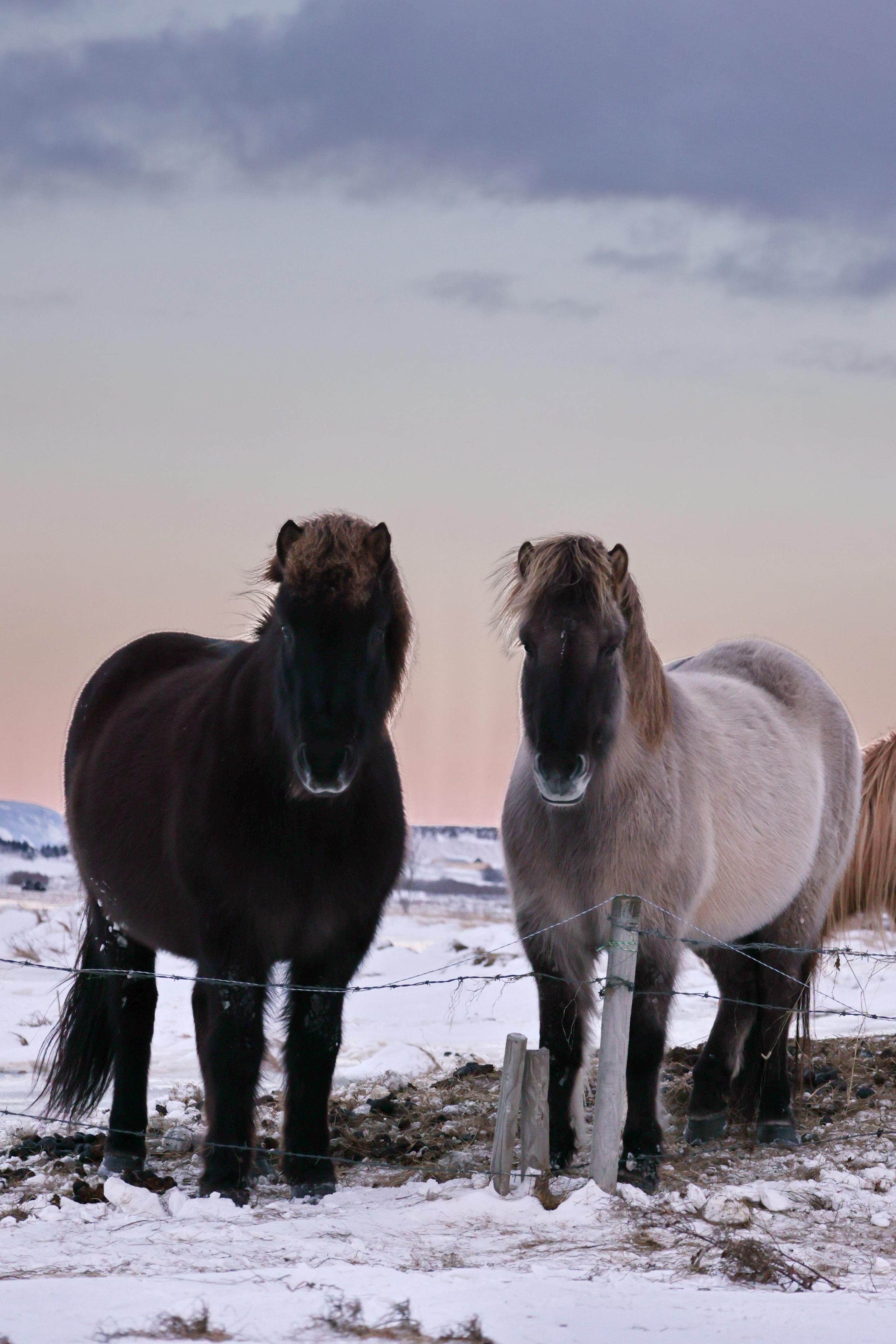Landscapes. Couples and portraits photographer Wimbledon London