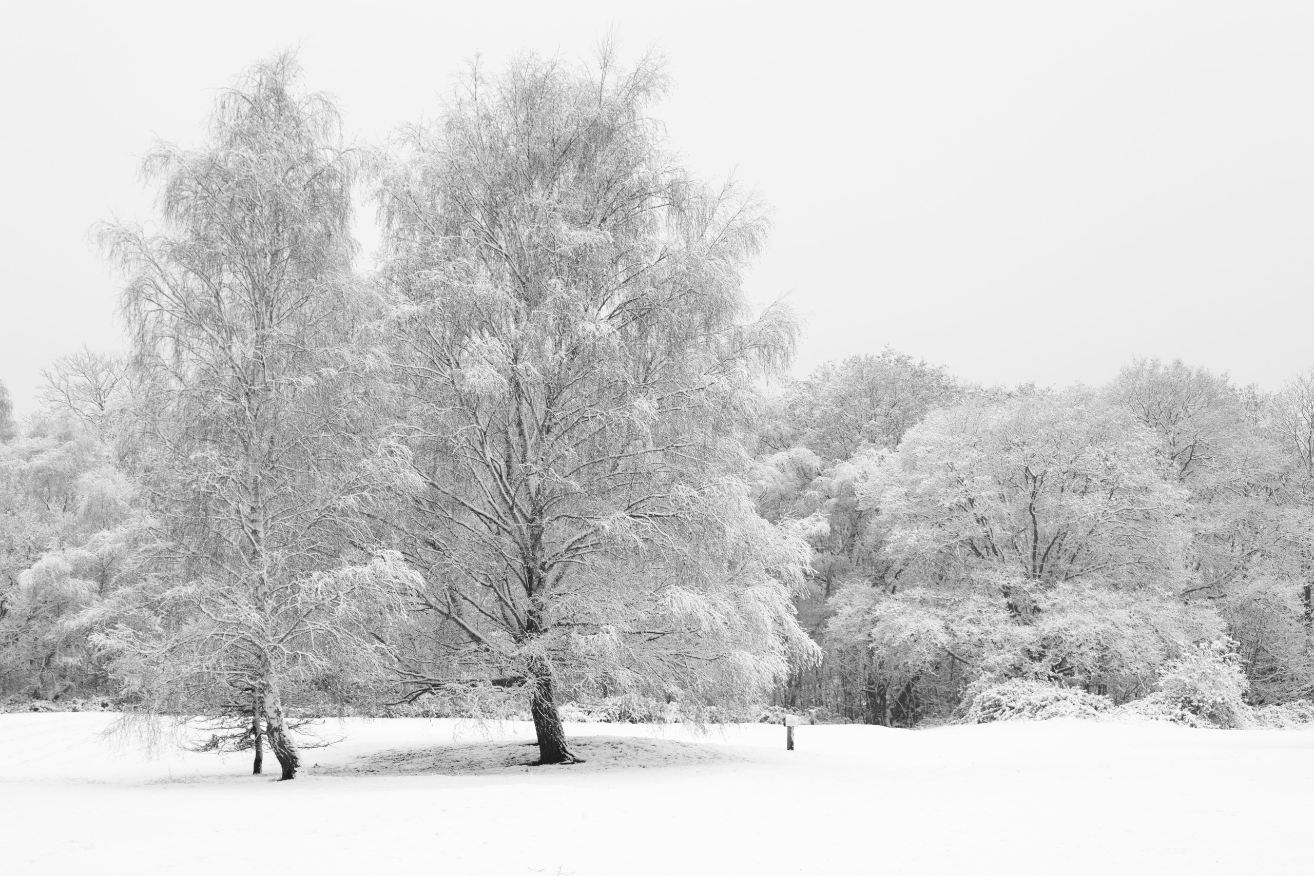 Landscapes. Couples and portraits photographer Wimbledon London