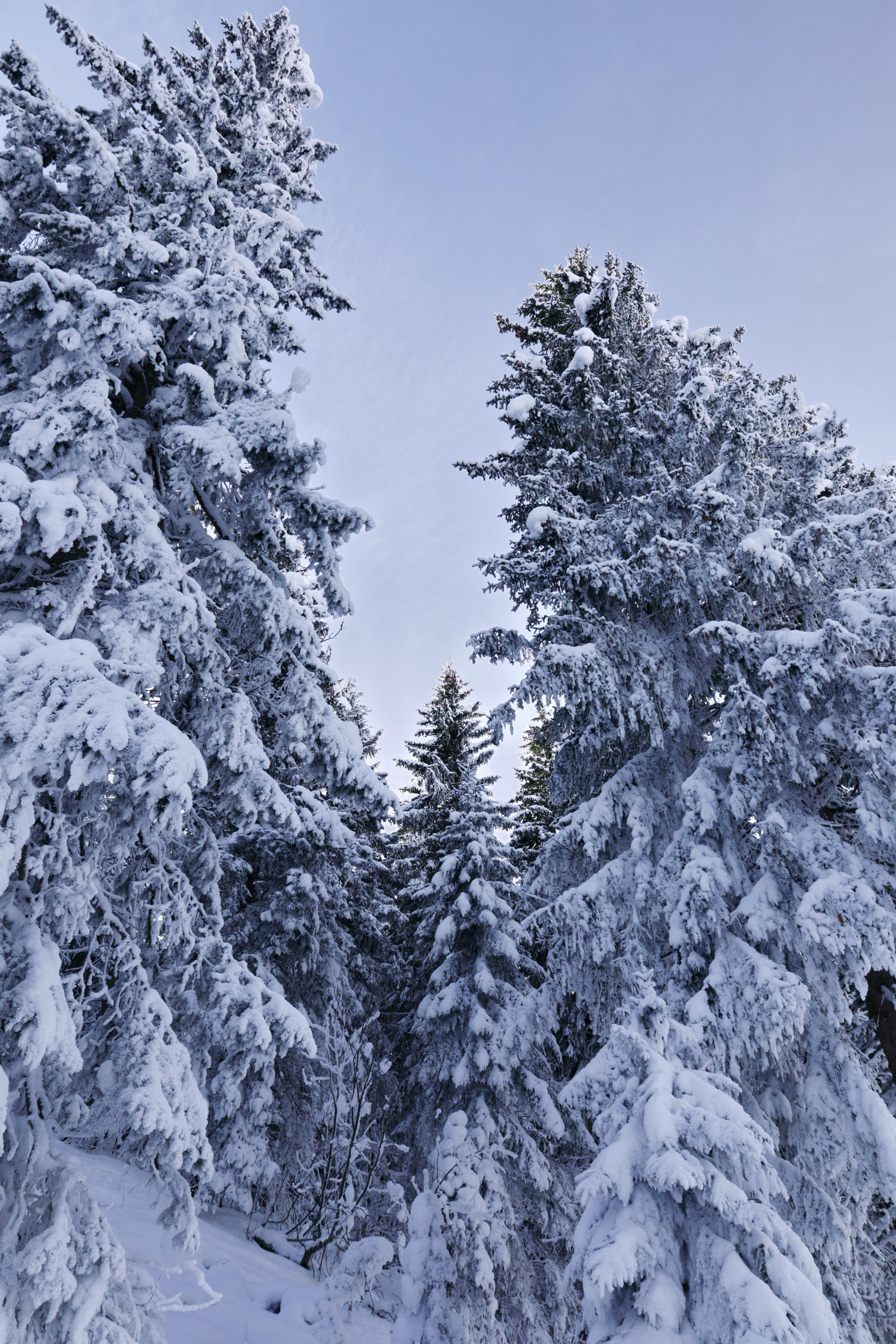 Landscapes. Couples and portraits photographer Wimbledon London