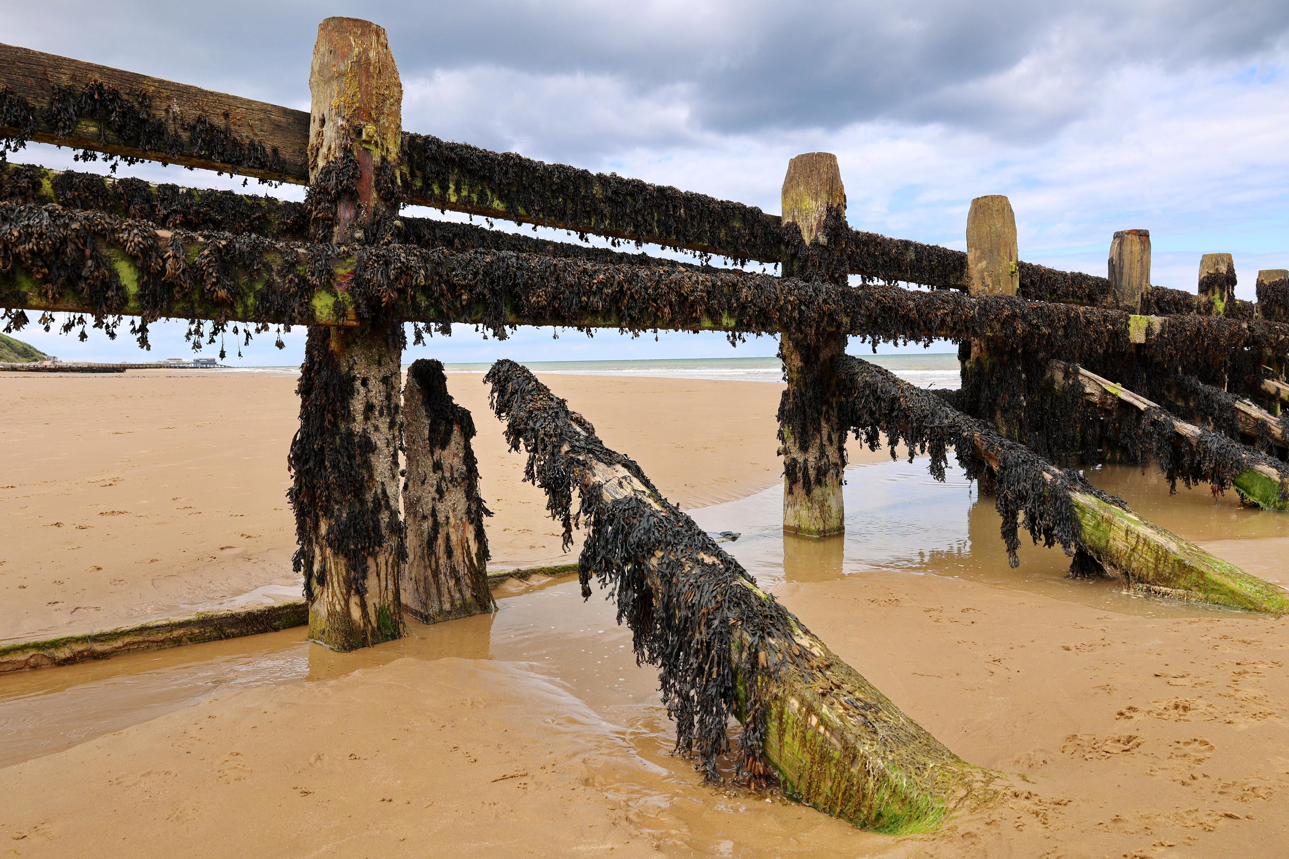 Landscapes. Couples and portraits photographer Wimbledon London