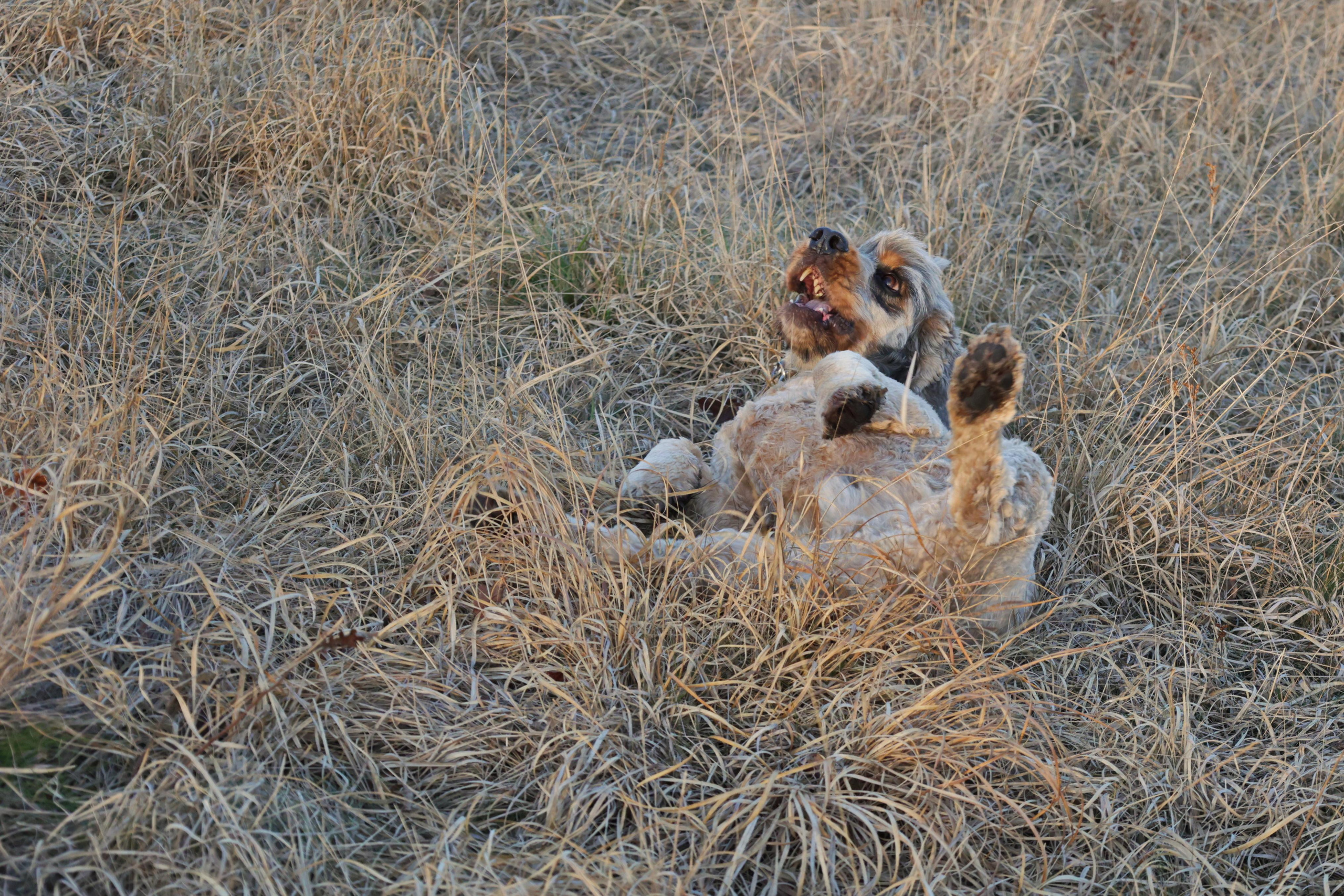 Charles. Couples and portraits photographer Wimbledon London