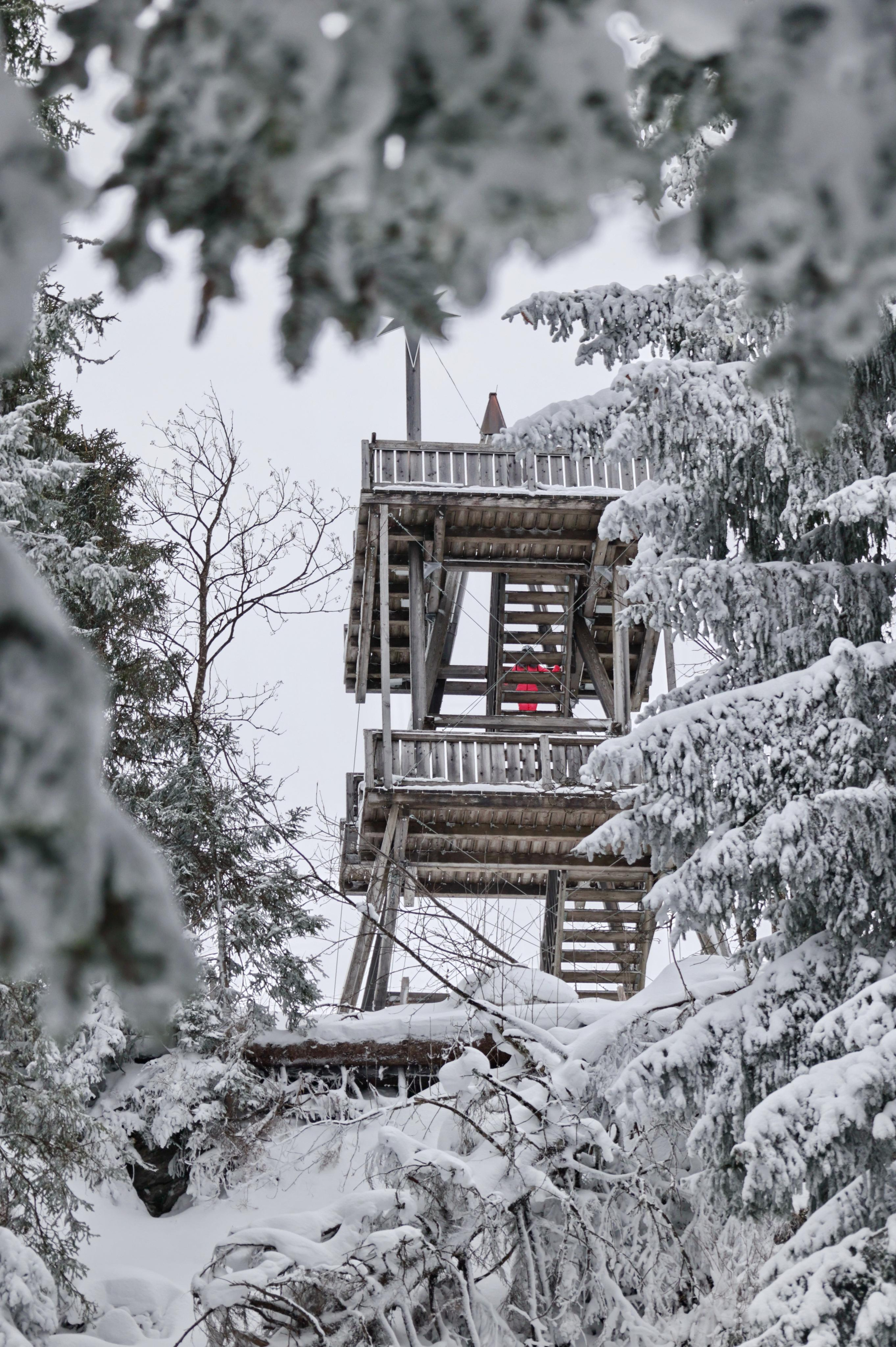 Landscapes. Couples and portraits photographer Wimbledon London