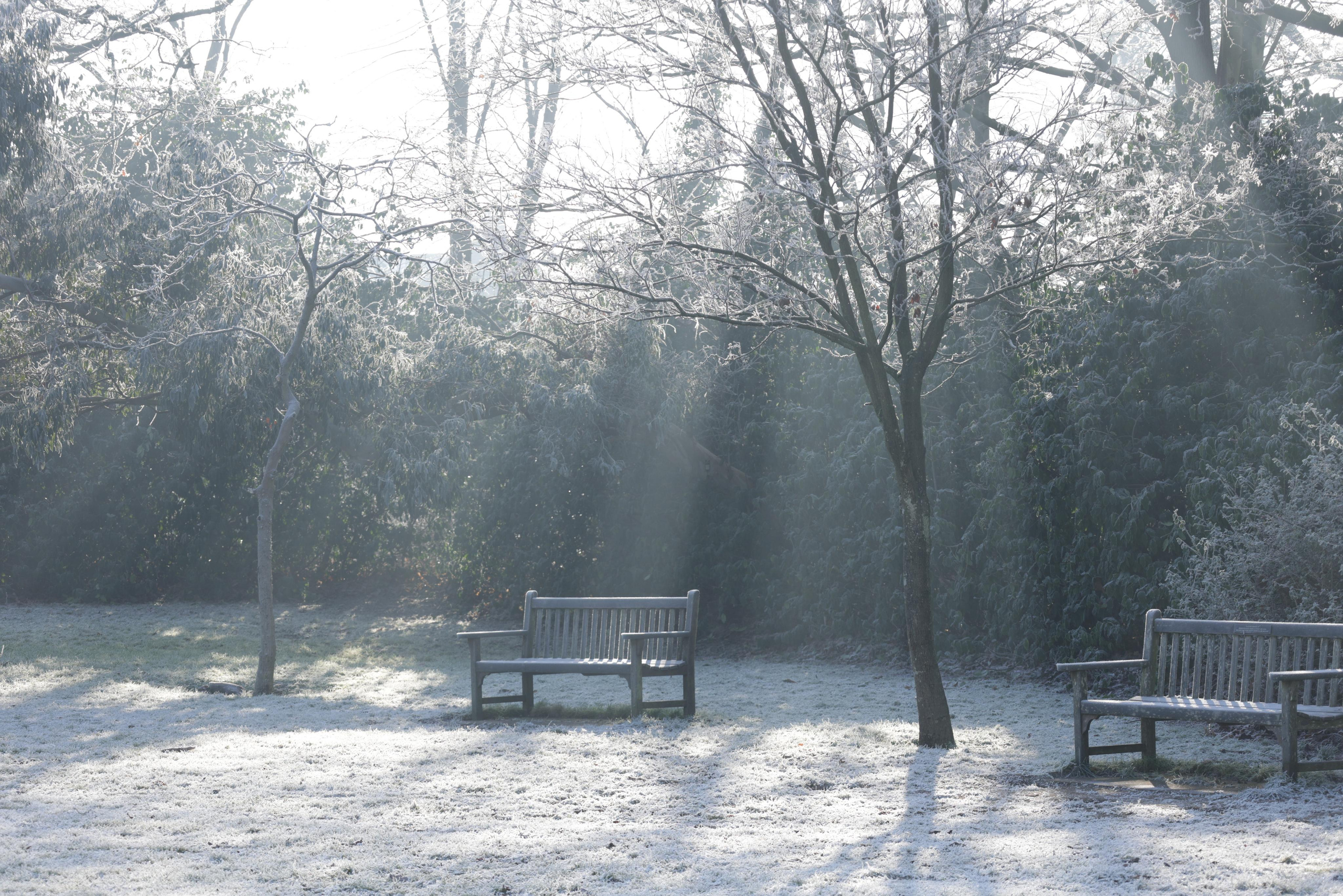 Landscapes. Couples and portraits photographer Wimbledon London