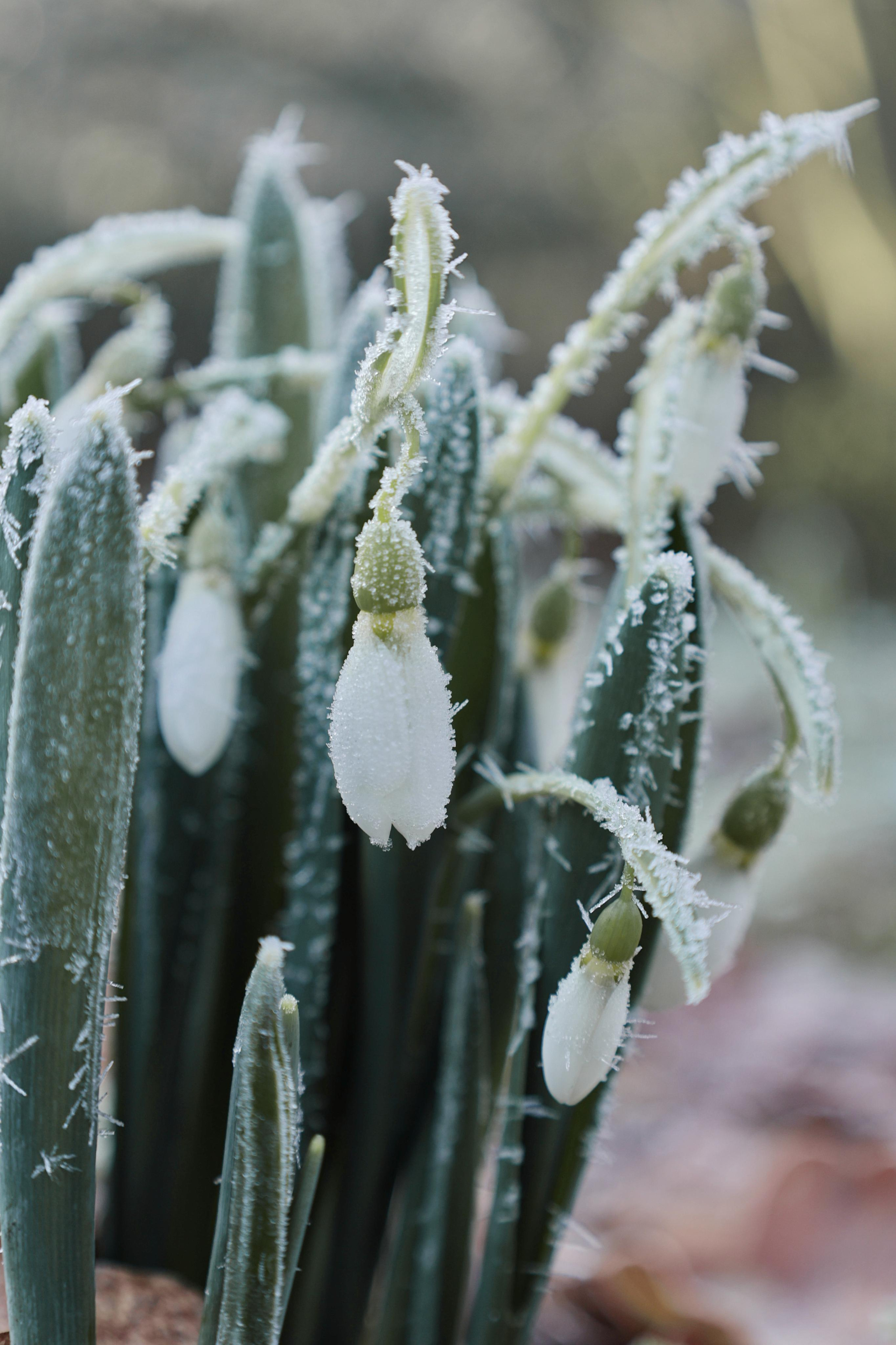 Landscapes. Couples and portraits photographer Wimbledon London