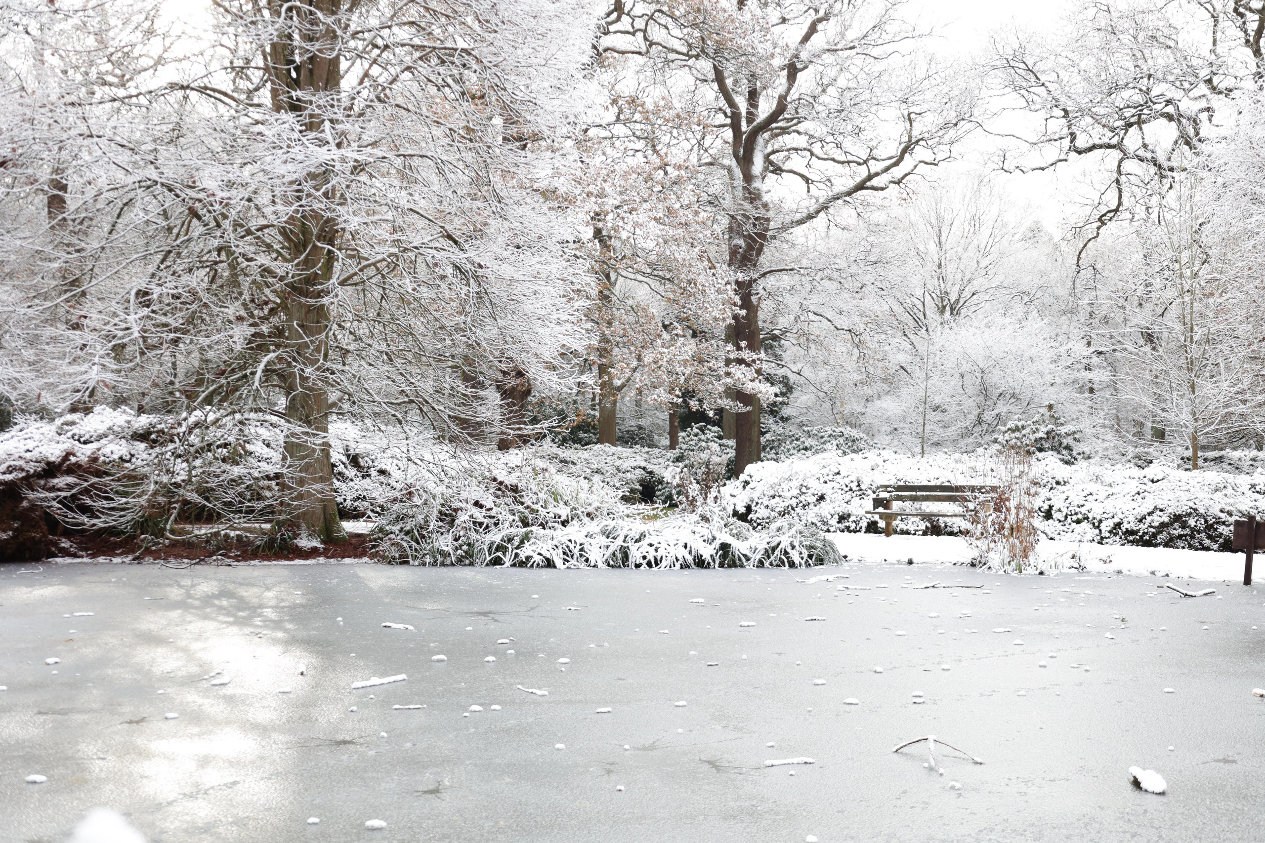 Landscapes. Couples and portraits photographer Wimbledon London