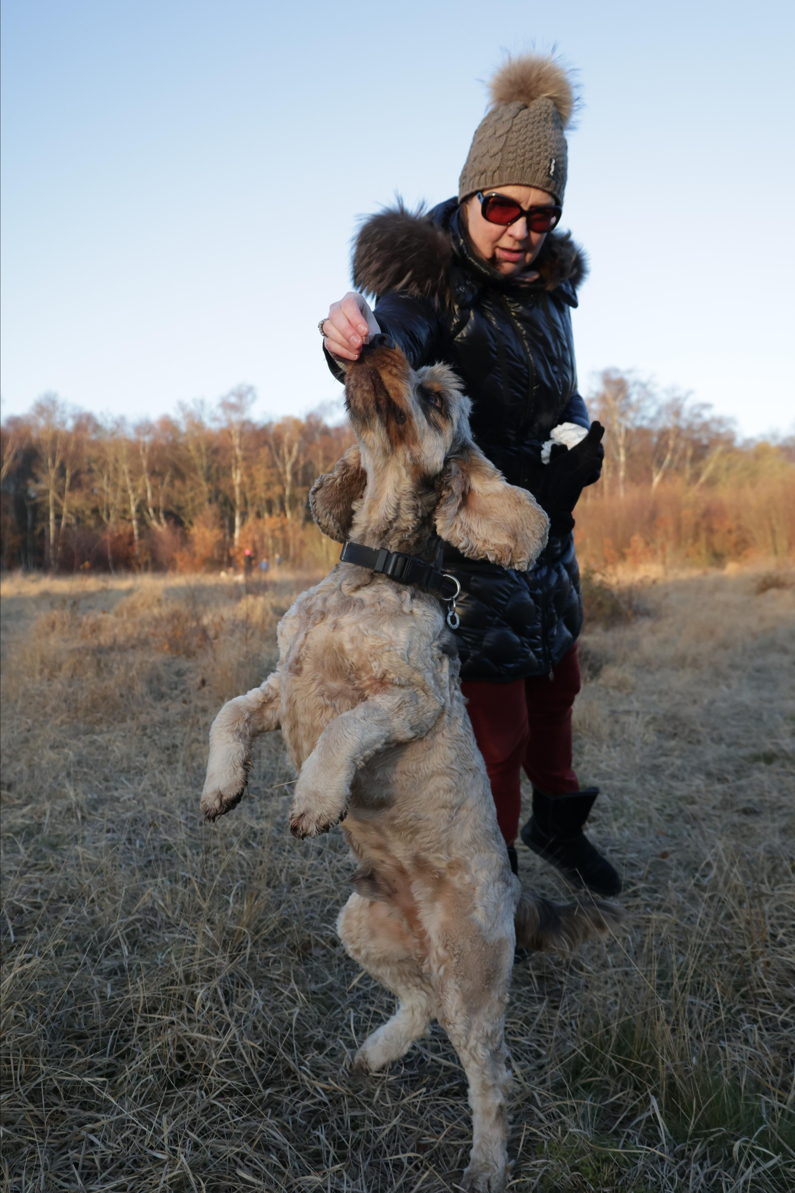 Charles. Couples and portraits photographer Wimbledon London