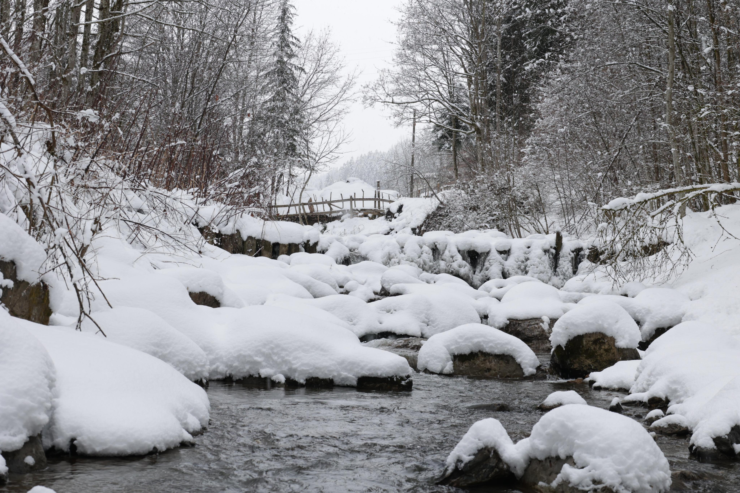 Landscapes. Couples and portraits photographer Wimbledon London
