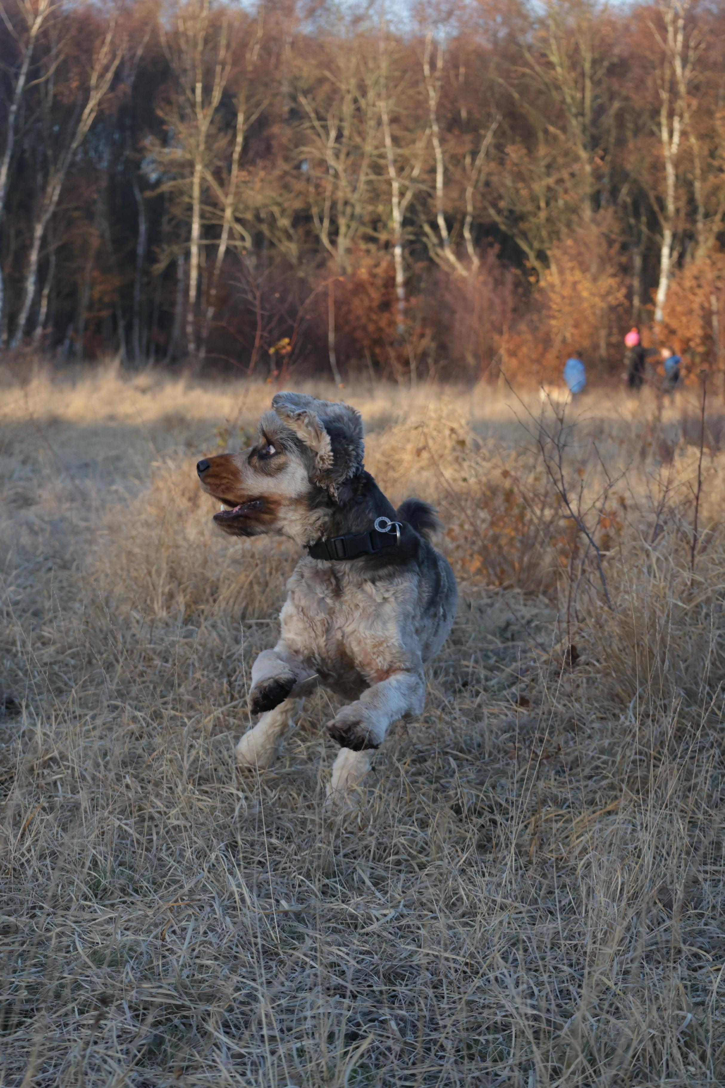 Charles. Couples and portraits photographer Wimbledon London