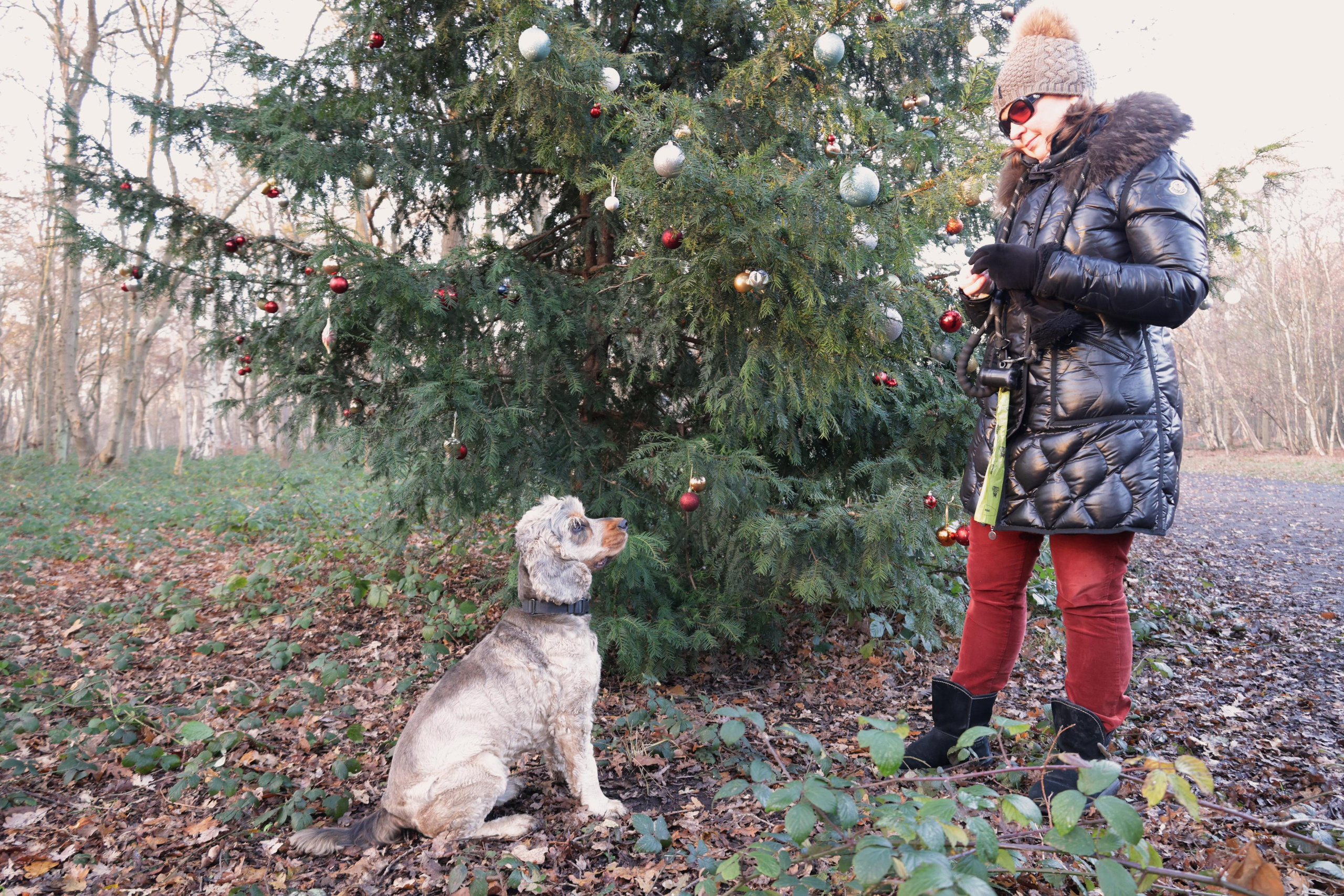 Charles. Couples and portraits photographer Wimbledon London