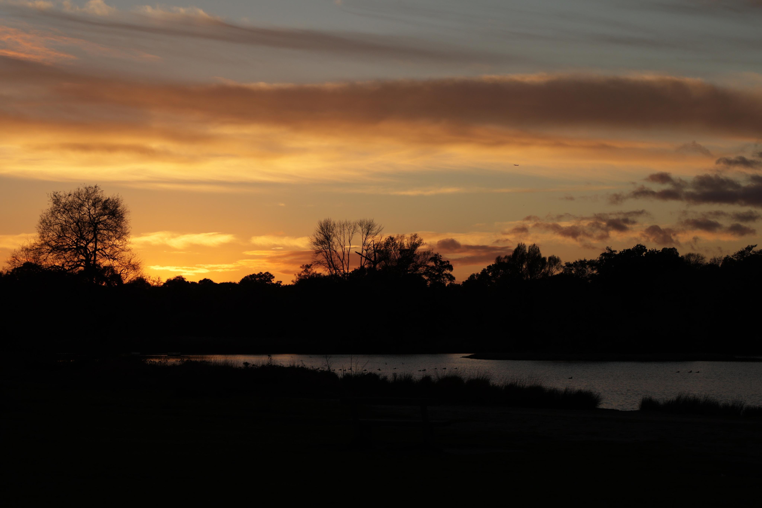 Landscapes. Couples and portraits photographer Wimbledon London