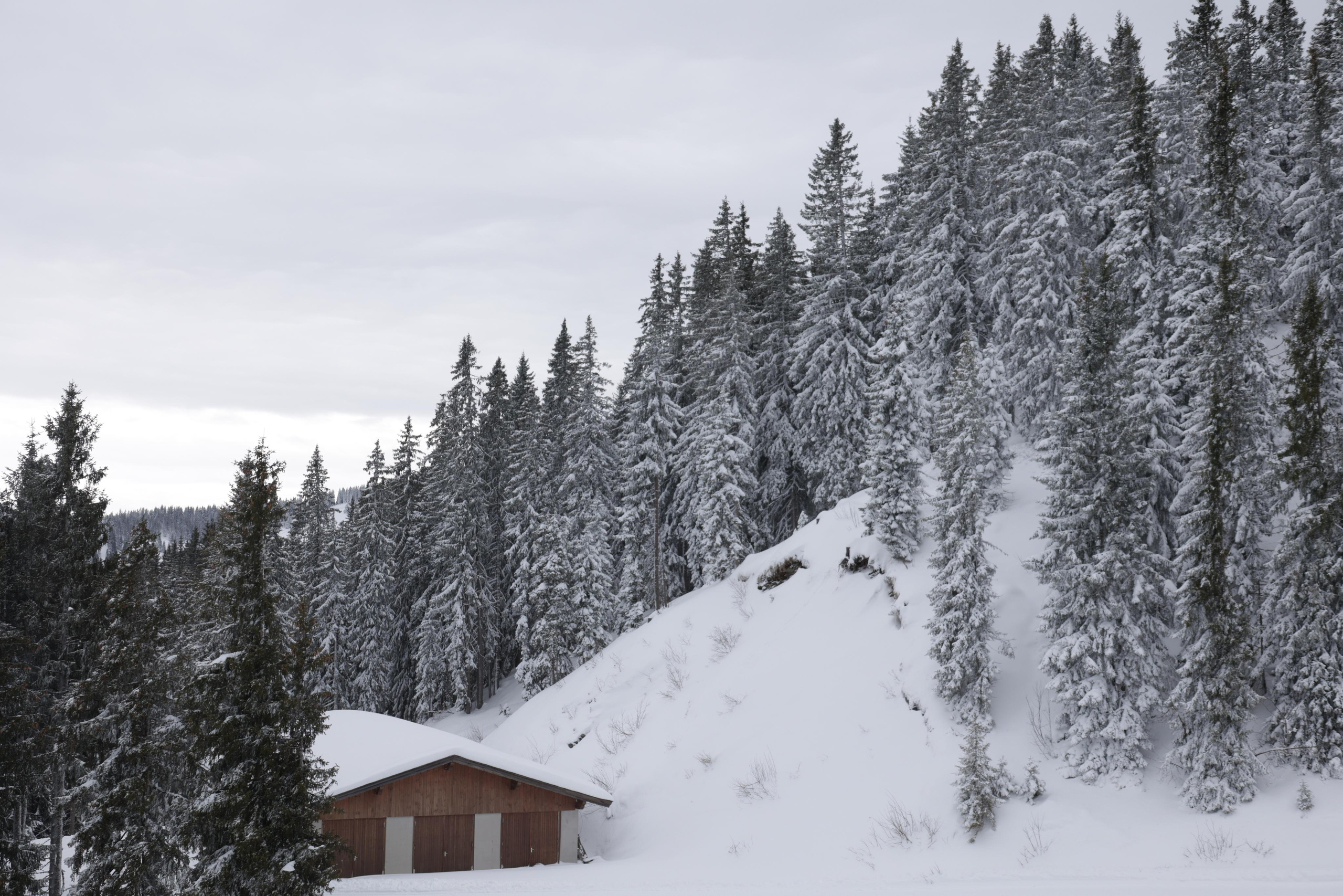 Landscapes. Couples and portraits photographer Wimbledon London