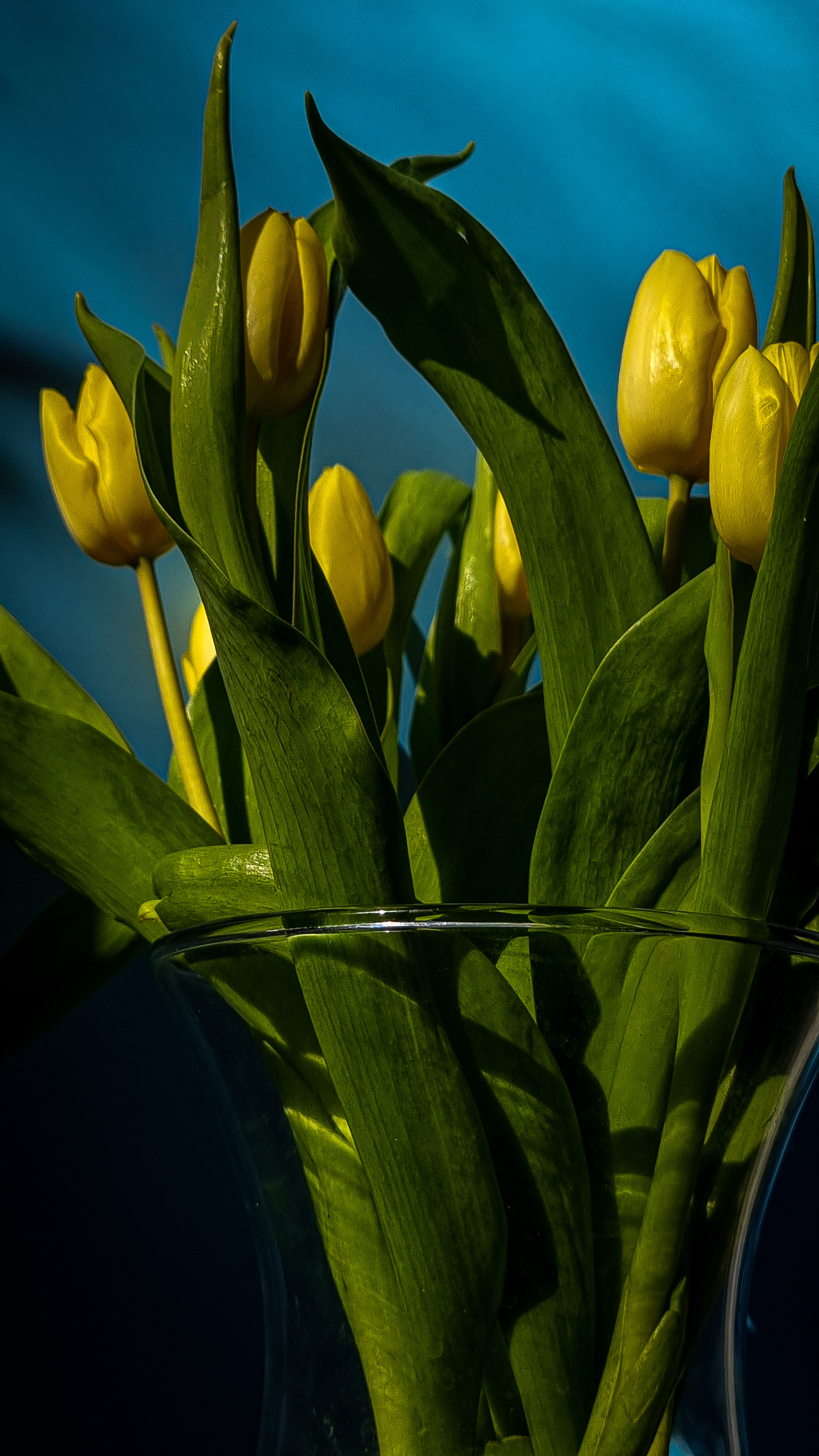 Natur und Stadt. Marina, Fotograf aus Nürnberg
