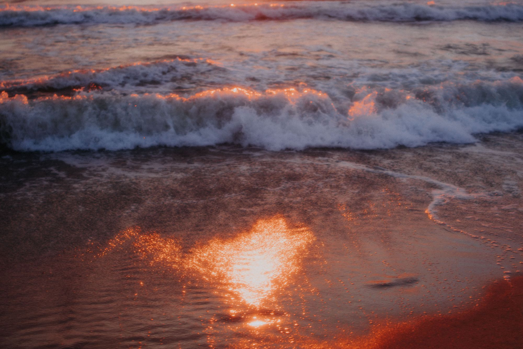 Лиза. Фотограф Мила Ромашкина