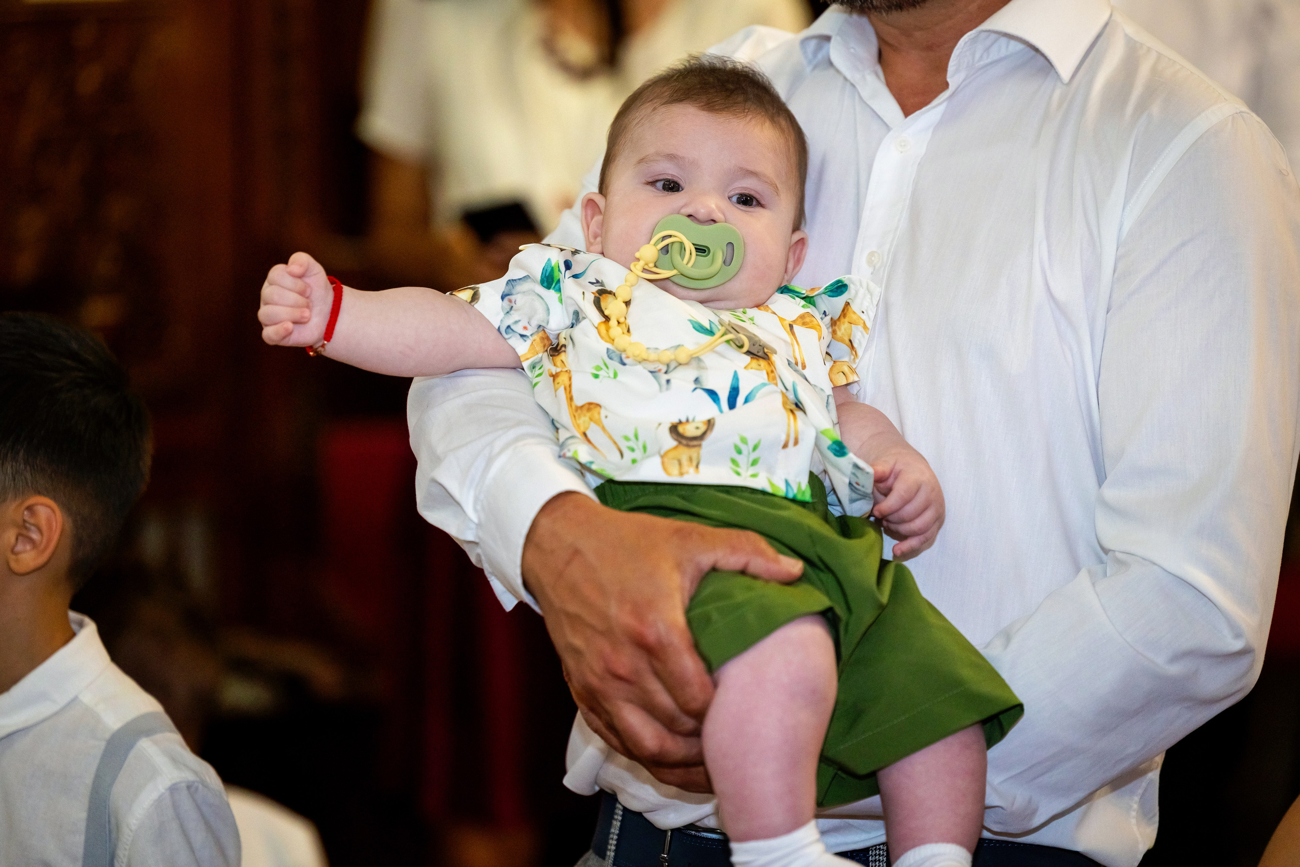 Andrei Damian. Moments By Gub