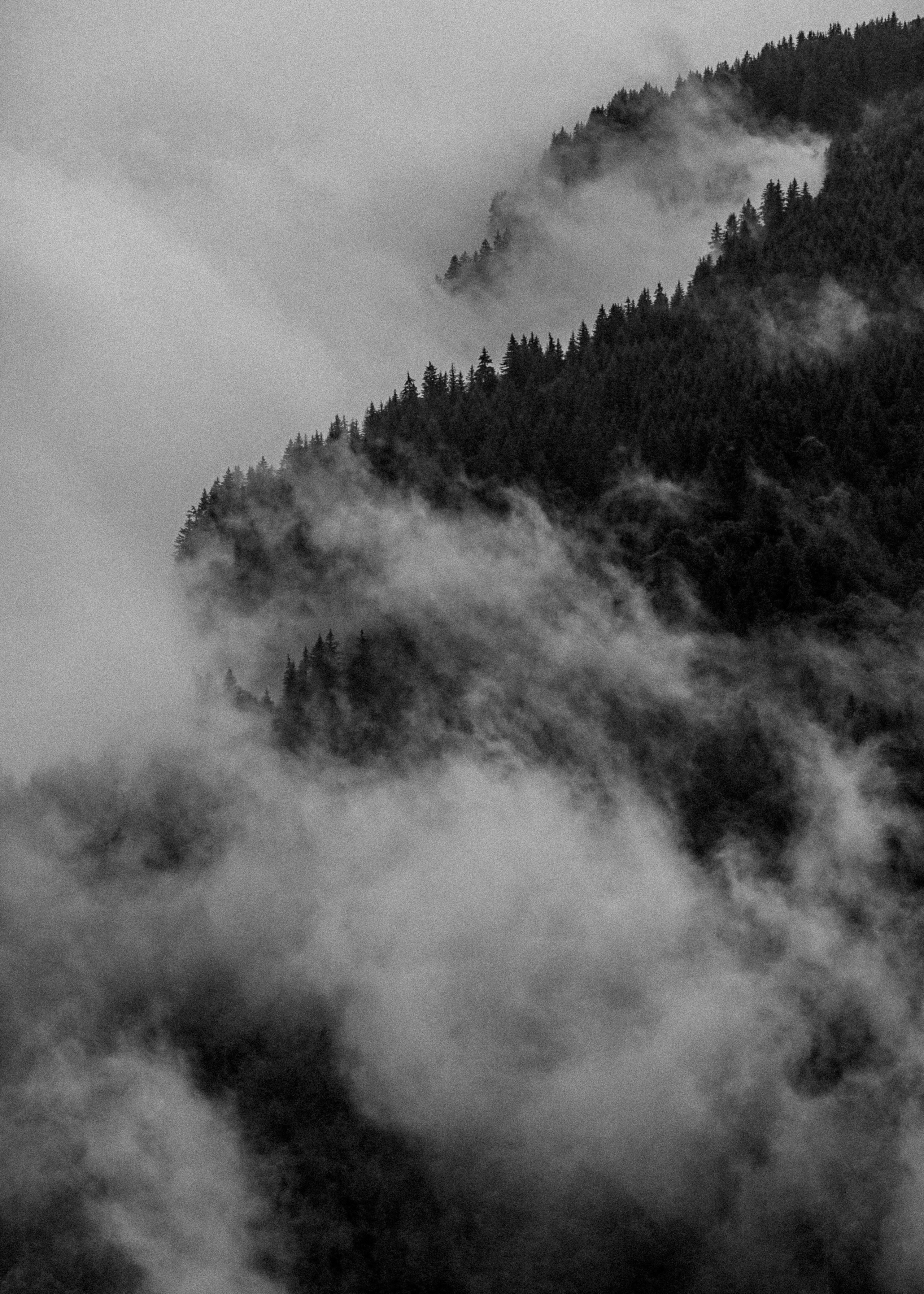 OVERVIEW. Outdoor and art photographer. Alisa Lutchenkova