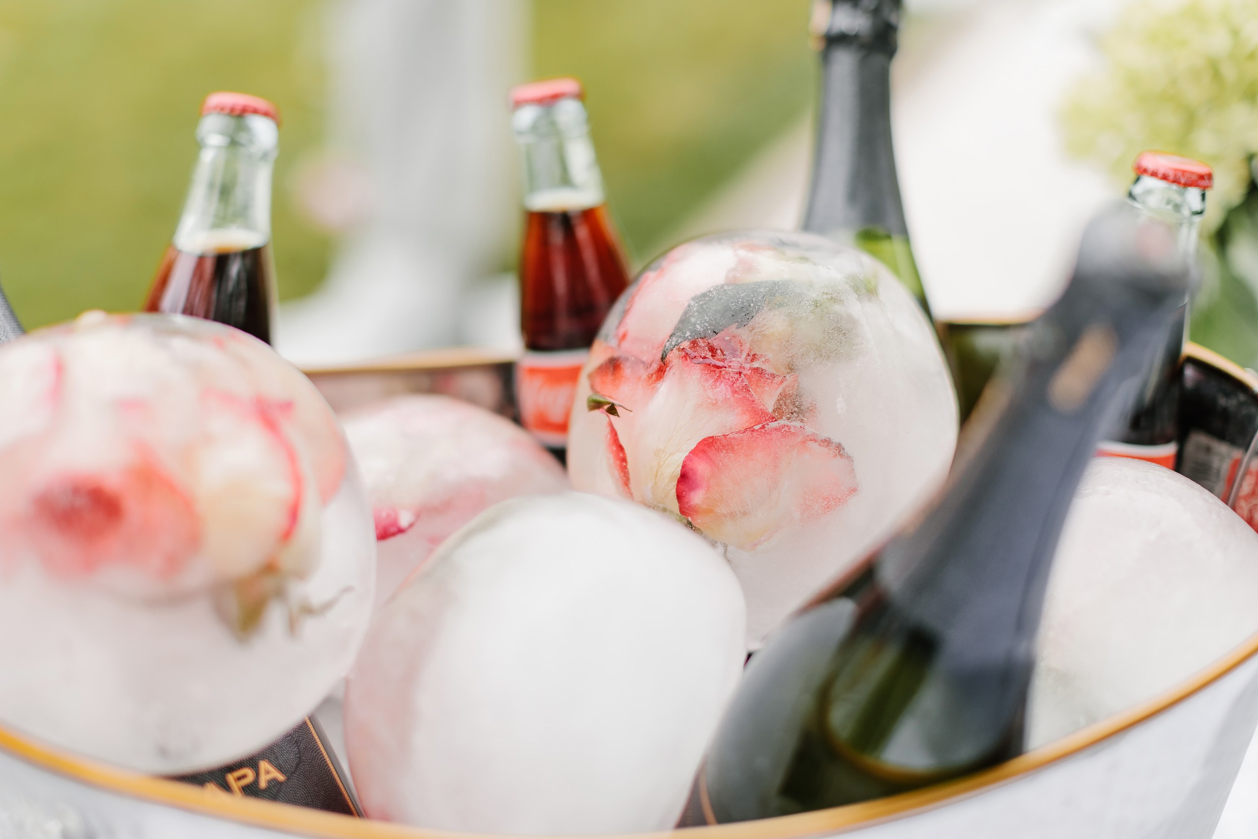 08.06.2024 Wedding. Wedding family event photographer in Chicago Nick Yushevich