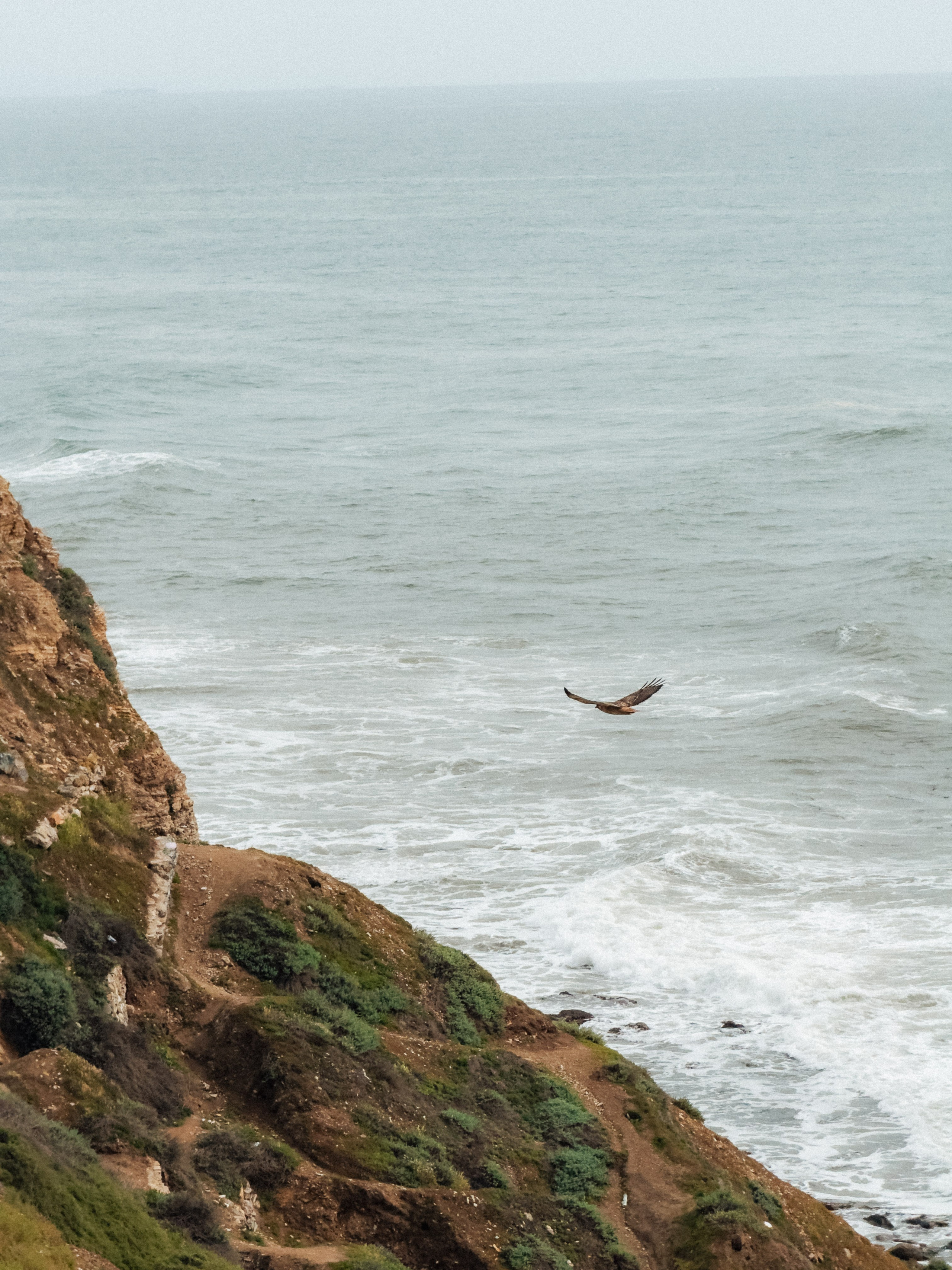 Los Angeles. Aleks.photo | Book a photoshoot