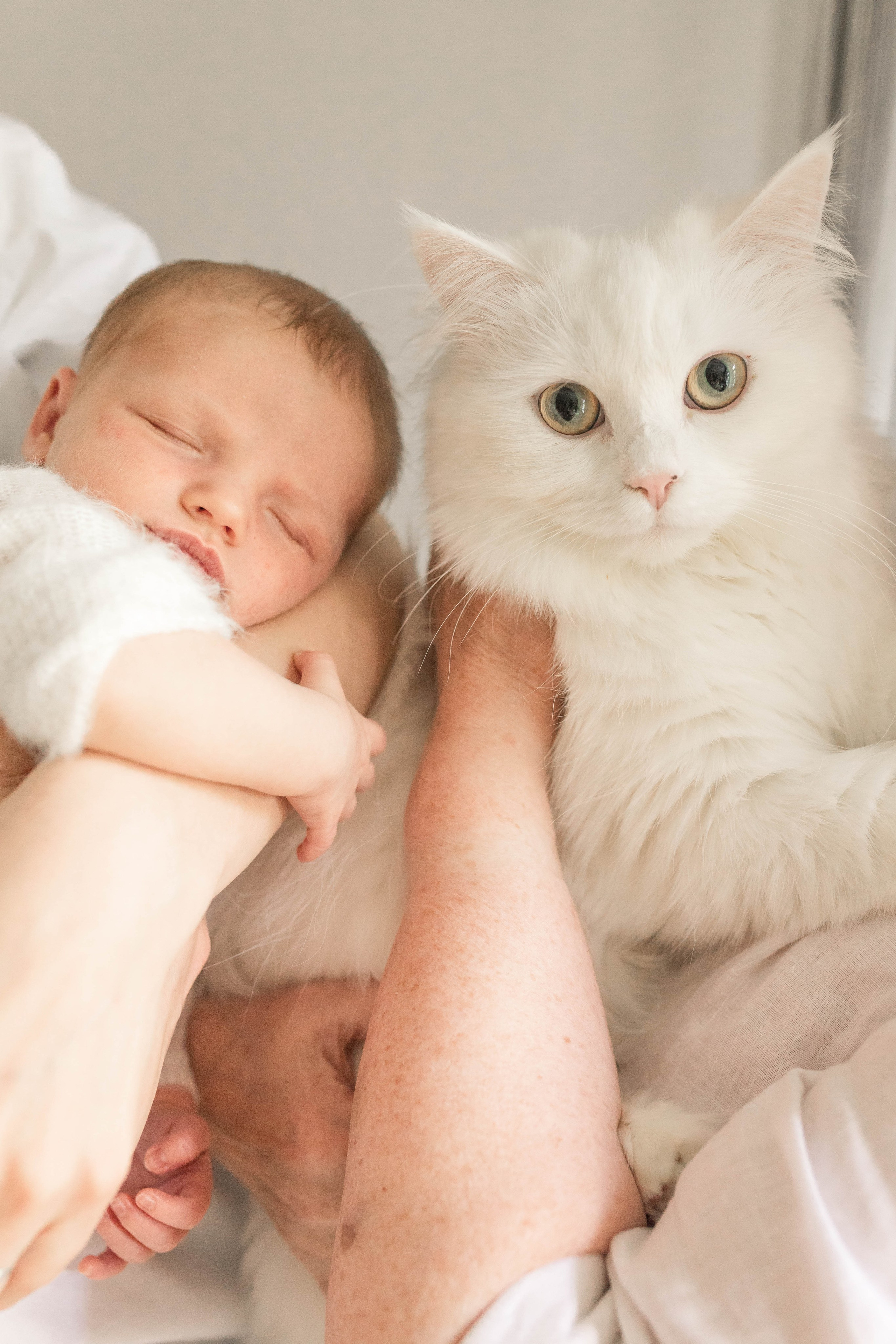 Newborn. Familien- und Kinderfotografin Katerina Vlasenko, München