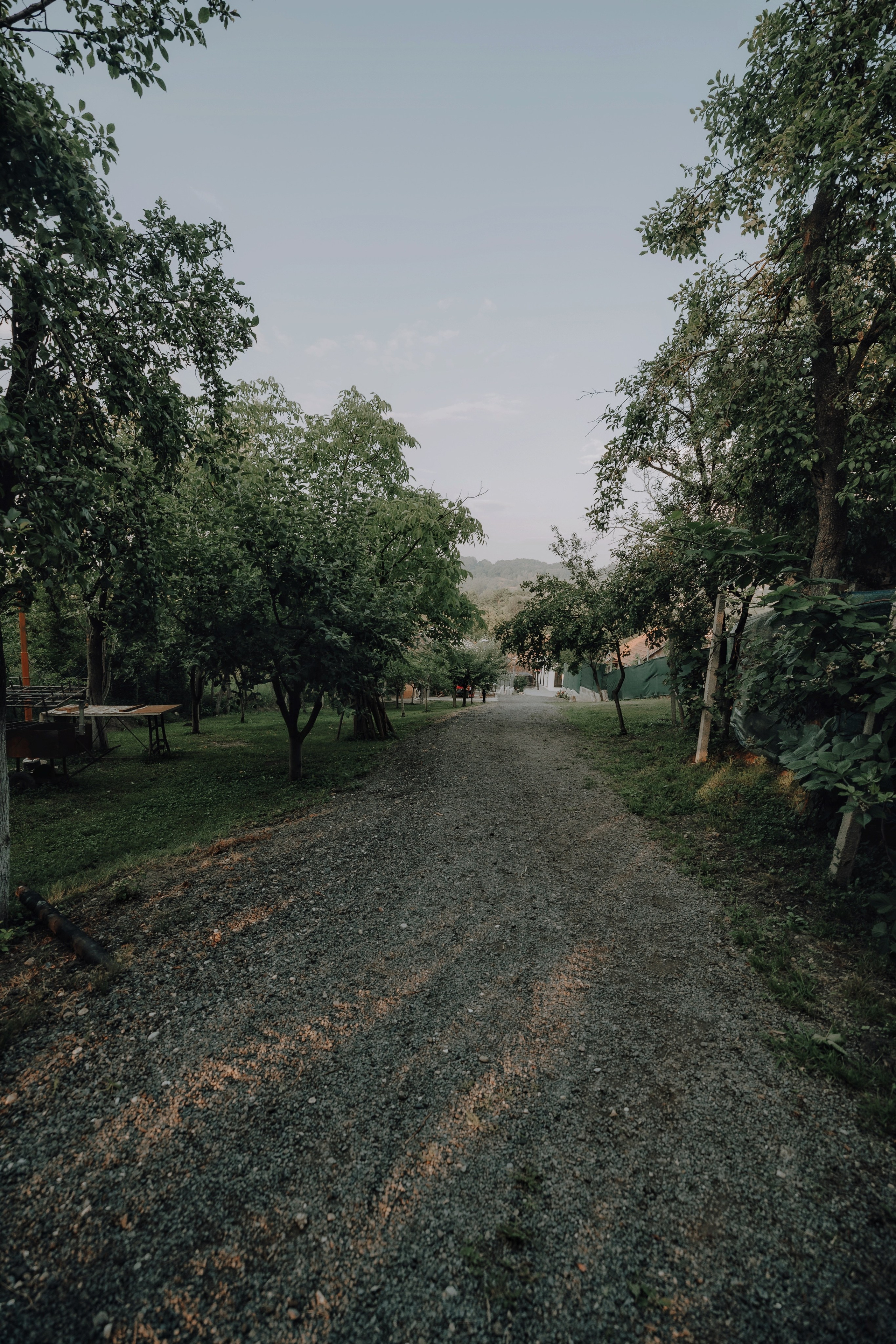 Agropensiunea Colev , locul unde începe evadarea perfectă. Emotions Photo Art