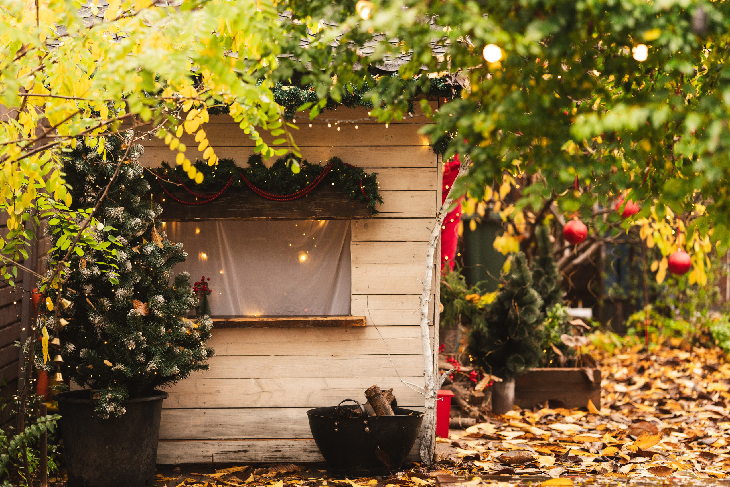 Studio Colentina. Fotograf evenimente. Fotograf nunta. Fotograf Botez. Mihaela Savu