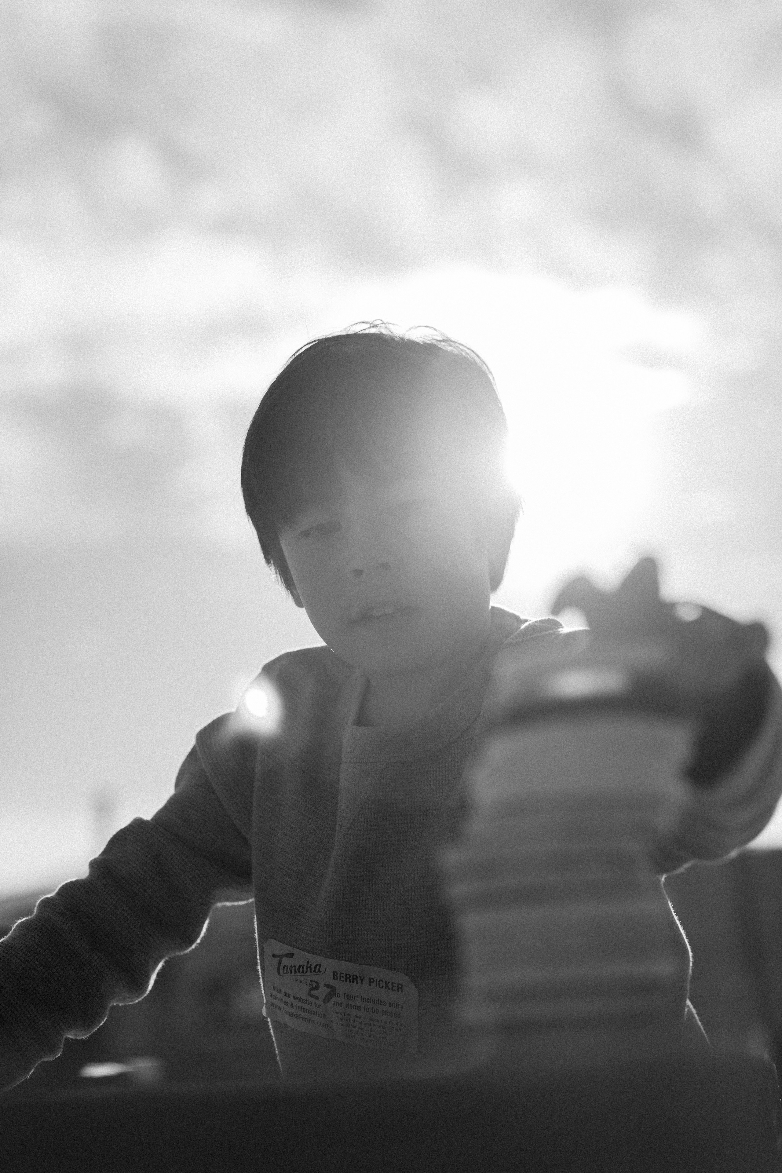 Strawberry Fun Farm. Mom and Son Shoot. Portrait, family, maternity & wedding photography & videography in SoCal Kseni Vibe