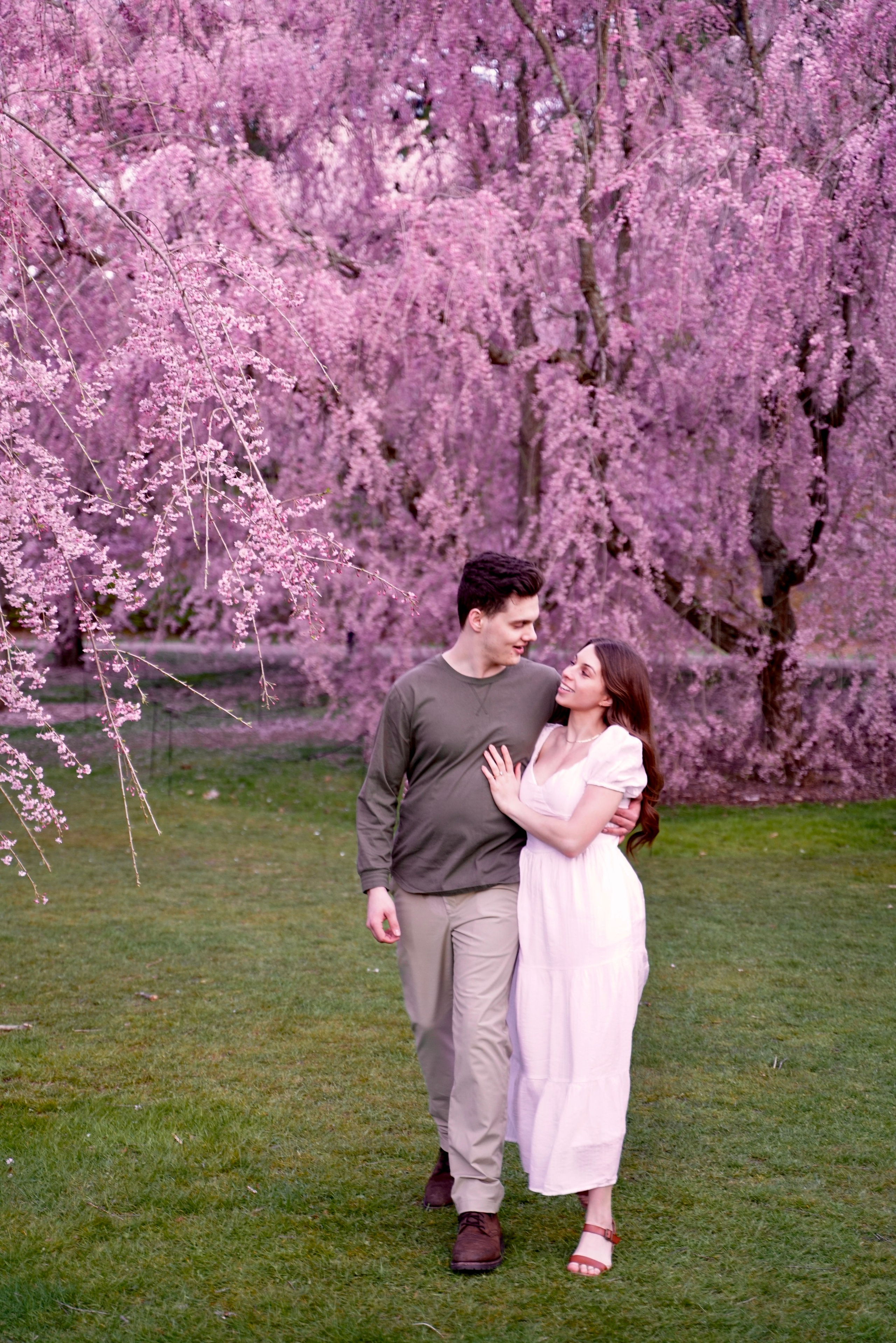Kassandra and Andrew at Harvard Arboretum. Stefanovich Photography | Boston, MA