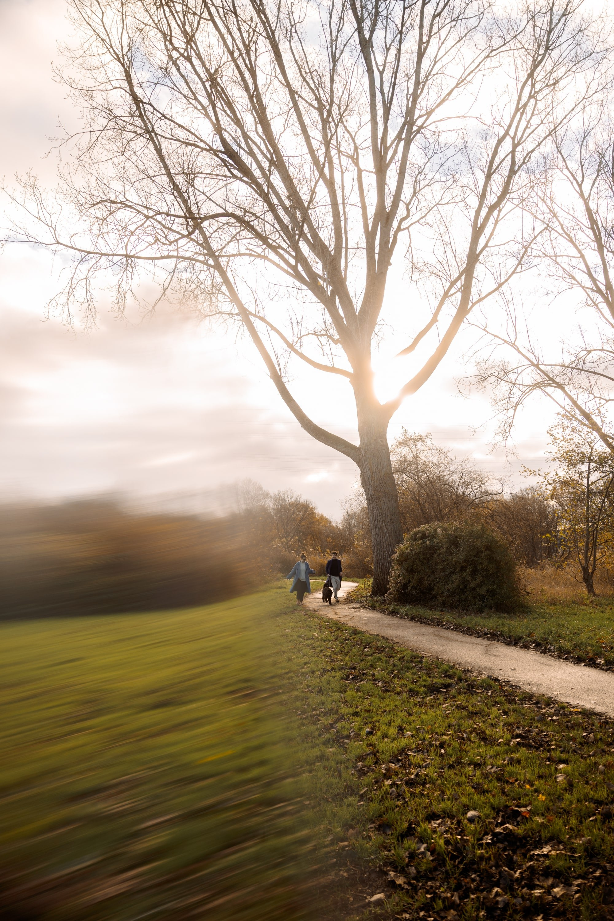 Pet Photoshoot in Spijkenisse | Rotterdam. Romantic & Soulful Photography by Natalia Olhova in Rotterdam