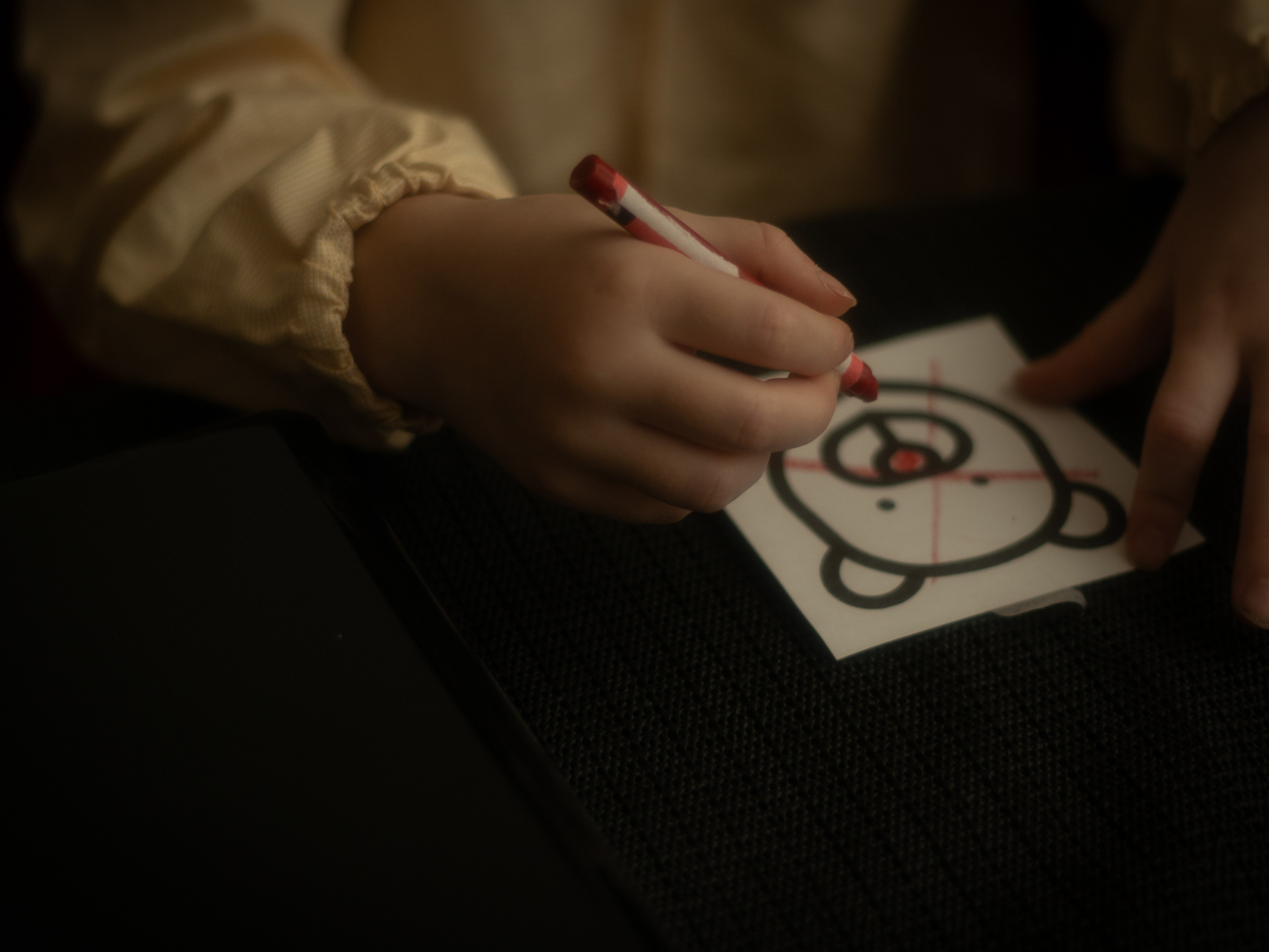 New Little Red Riding Hood. Toronto Portrait Photographer Lena Lac