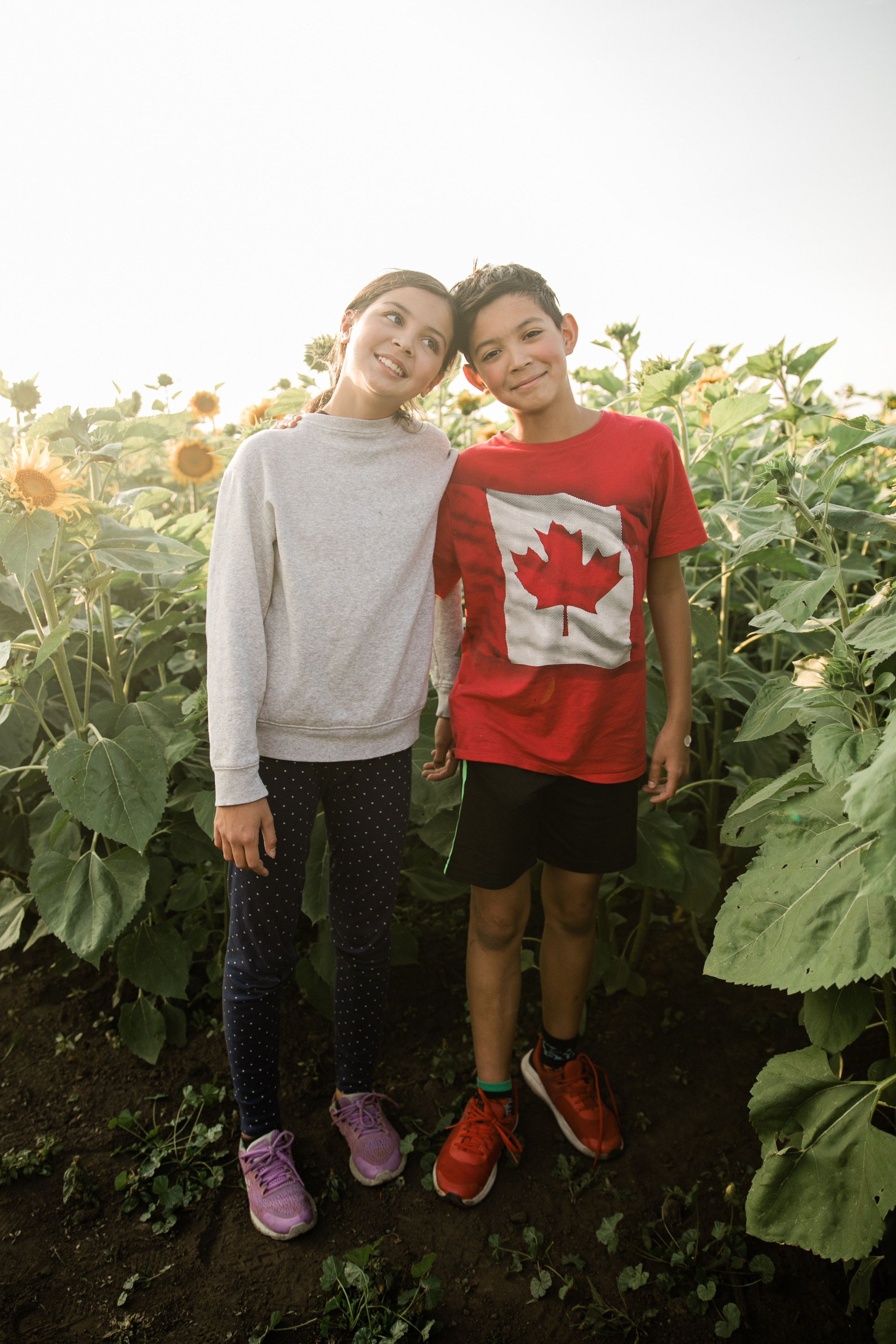 Bowden Sunmaze Ana Pau. Fotografía accesible en Calgary