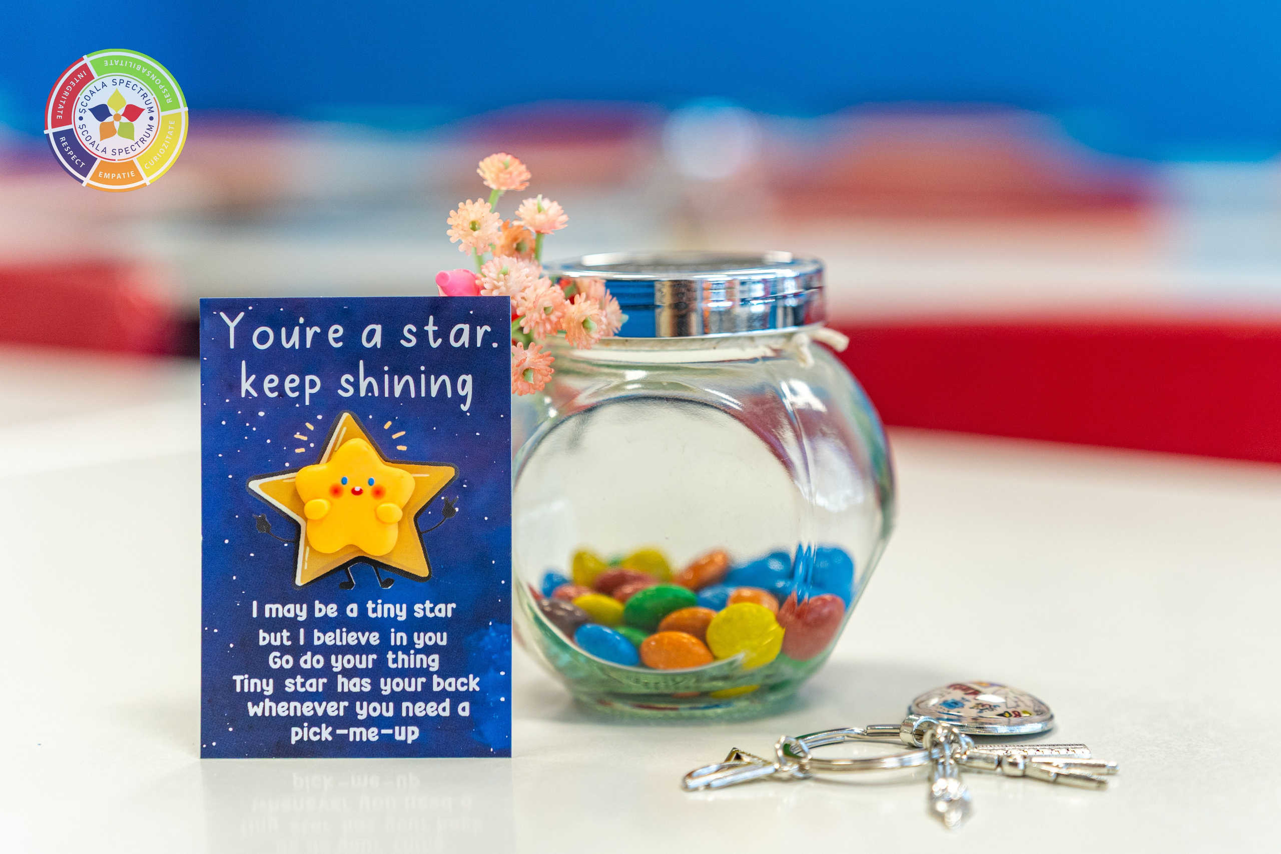 Scoala Gimnaziala Spectrum Constanta. Adelinne