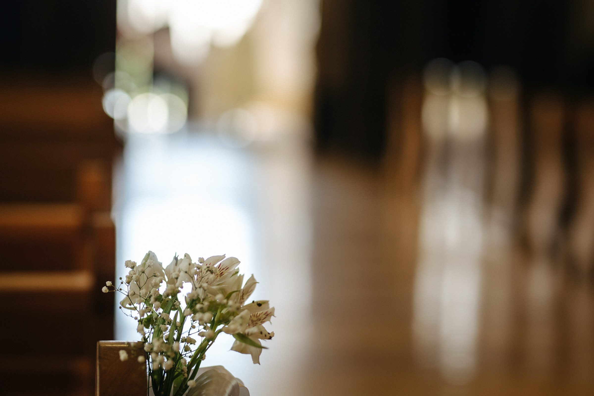 Dovilės ir Gedimino vestuvinė fotosesija Tytuvėnų ansamblyje