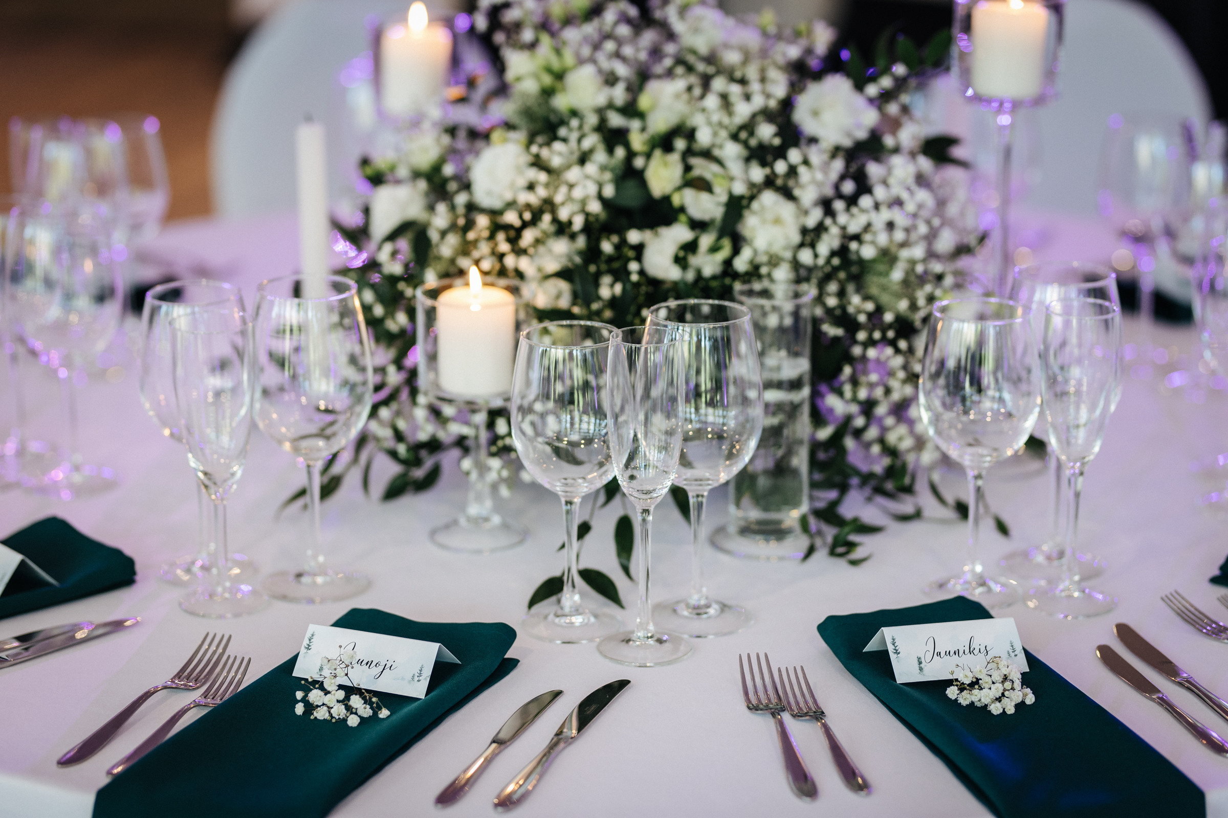 Dovilės ir Gedimino vestuvinė fotosesija Tytuvėnų ansamblyje