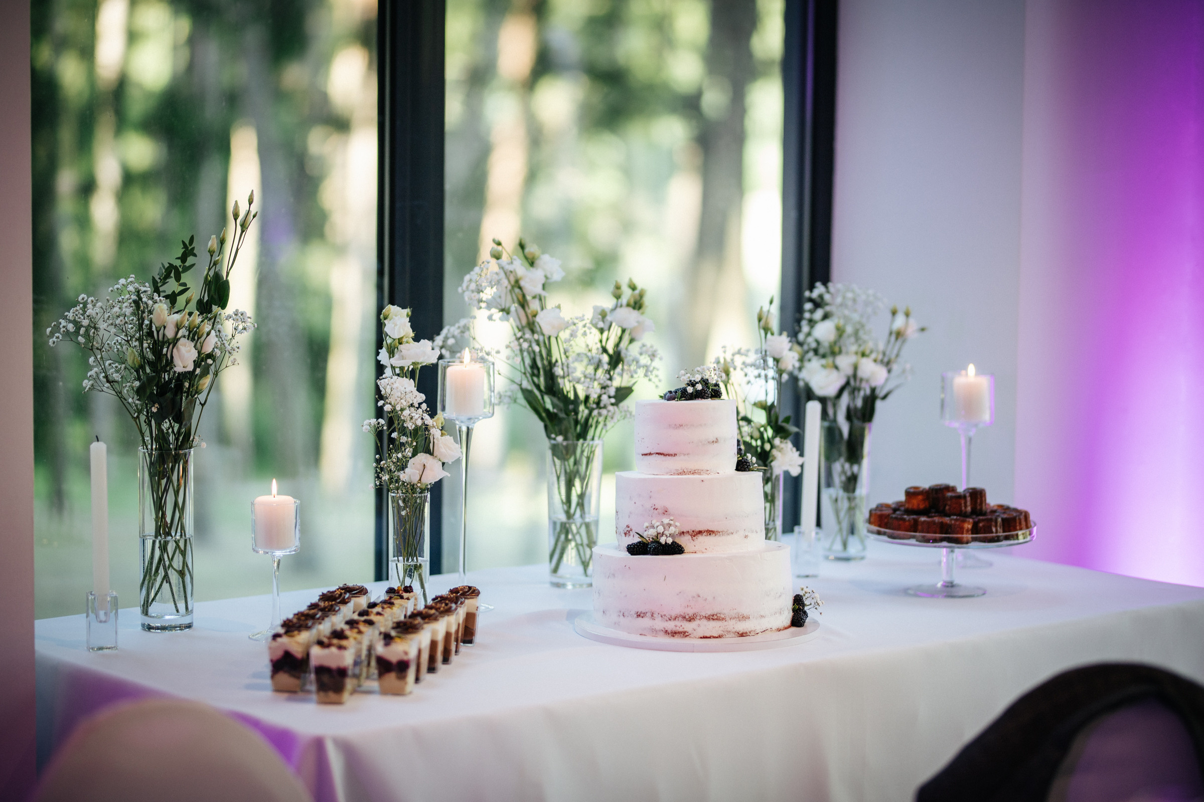 Dovilės ir Gedimino vestuvinė fotosesija Tytuvėnų ansamblyje