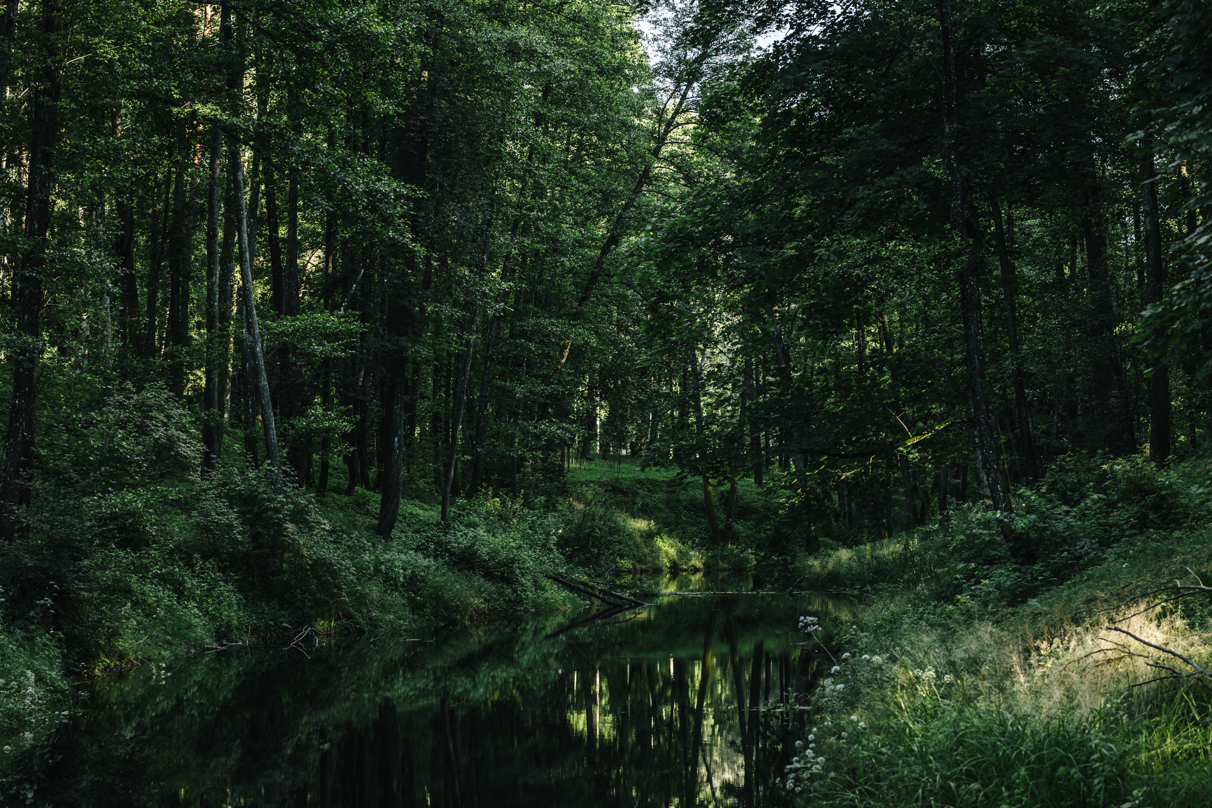 Kristina ir Ernestas