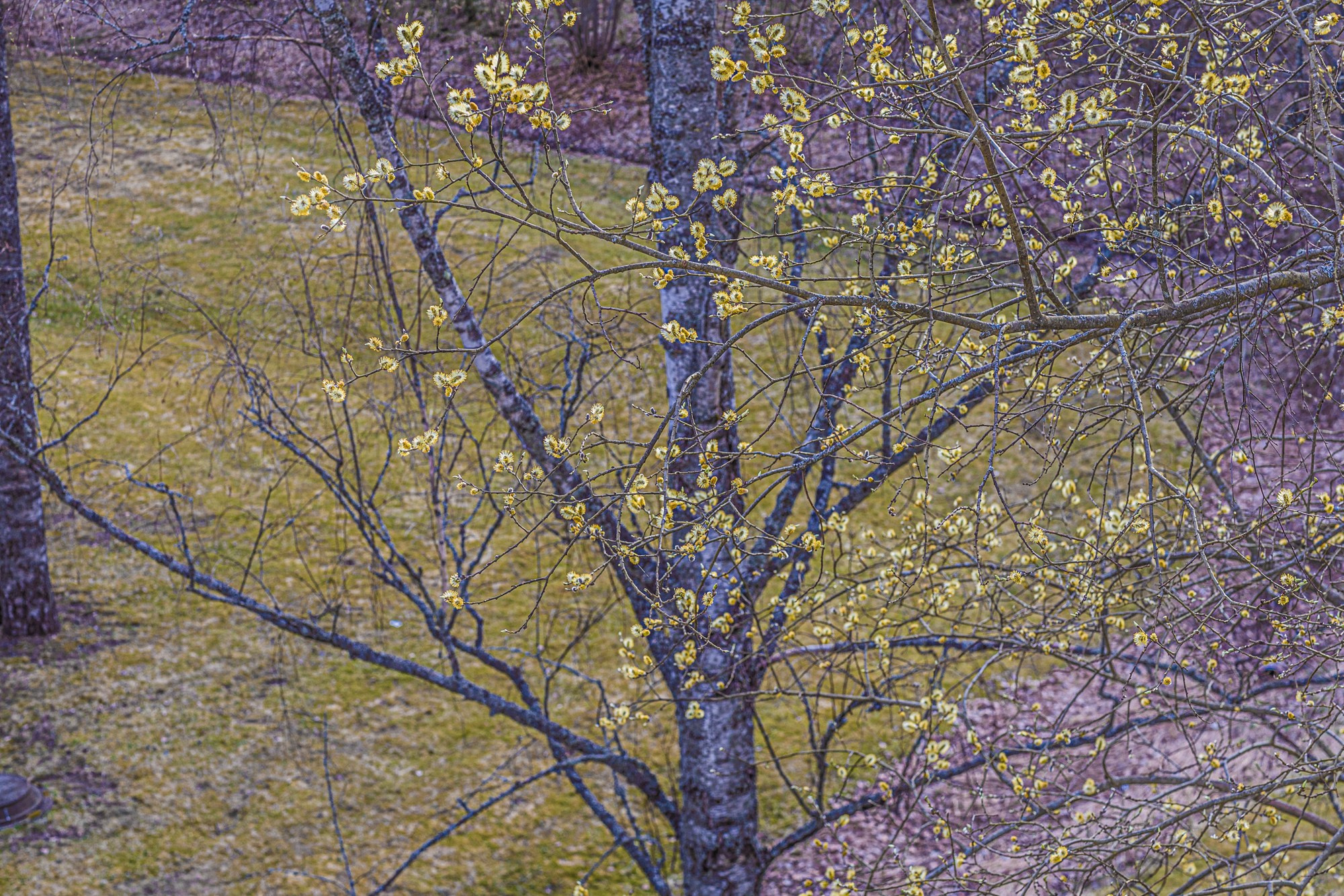 Портфолио. Оксана Жила, Фотограф, визуальный артист, Финляндия