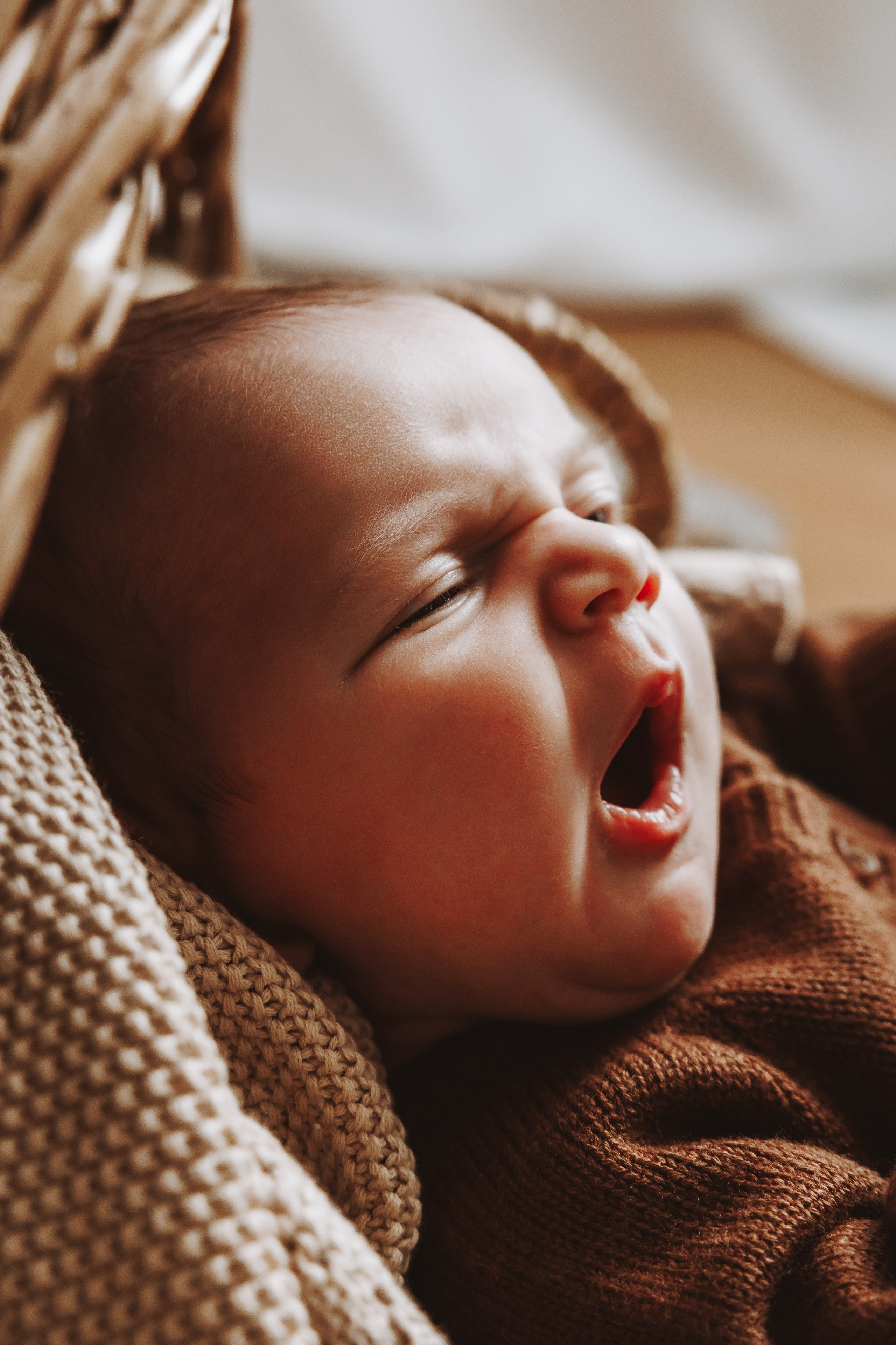 Newborn. Фотограф Ирина Йотова
