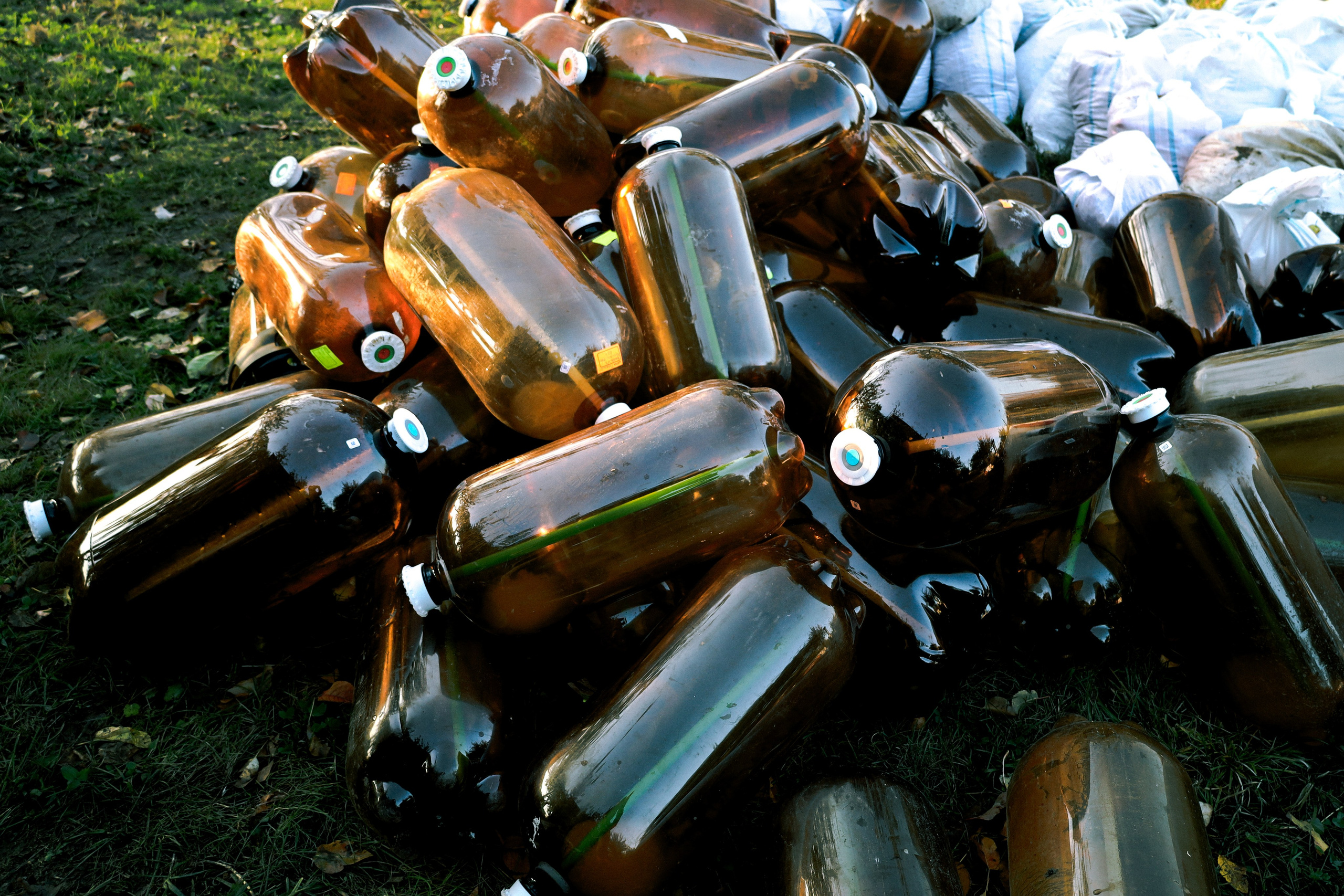 Factory reportage (hand-crafted cider). Asmikiam