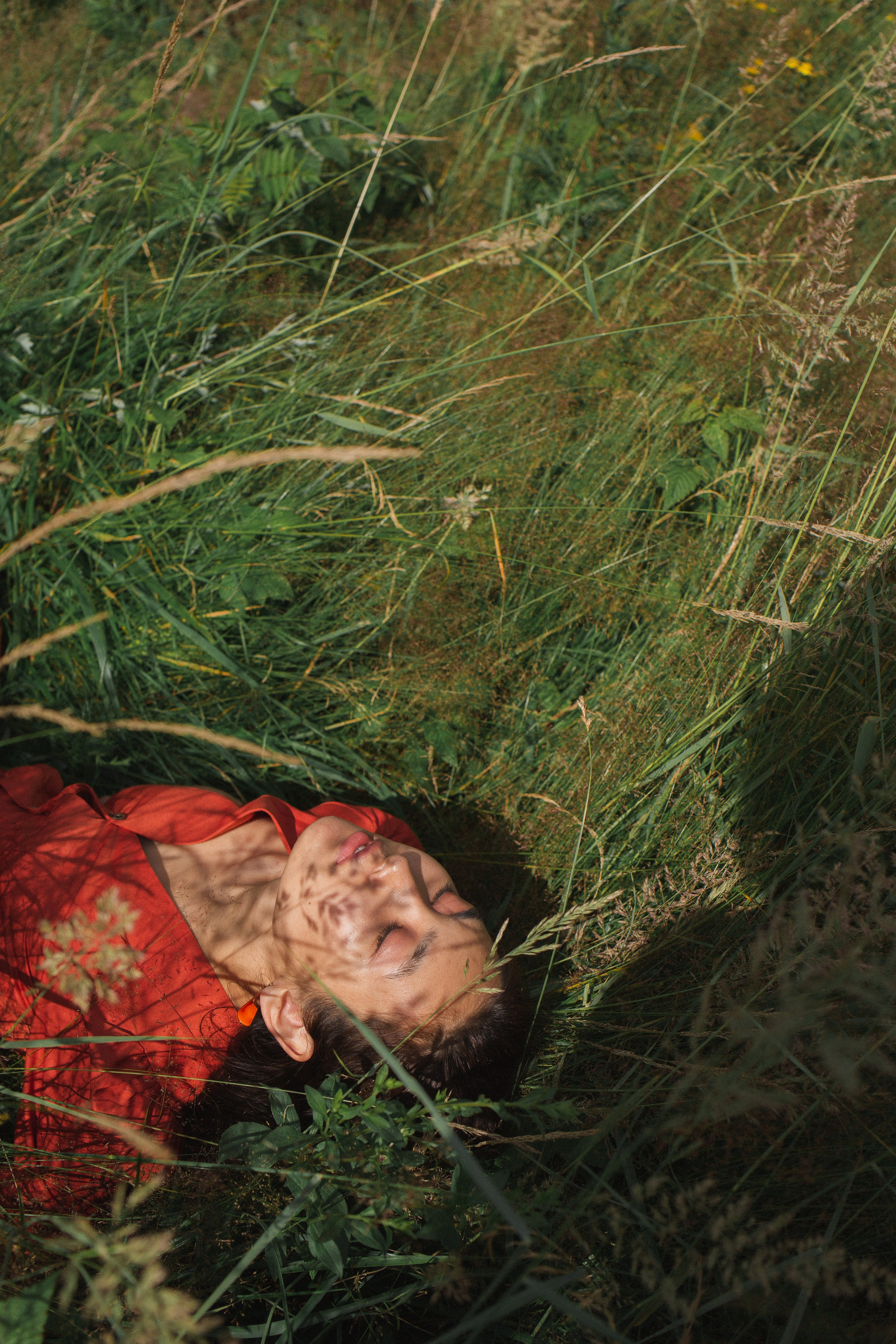 Aijan. Forest. Photographer Vladmir Gladkov