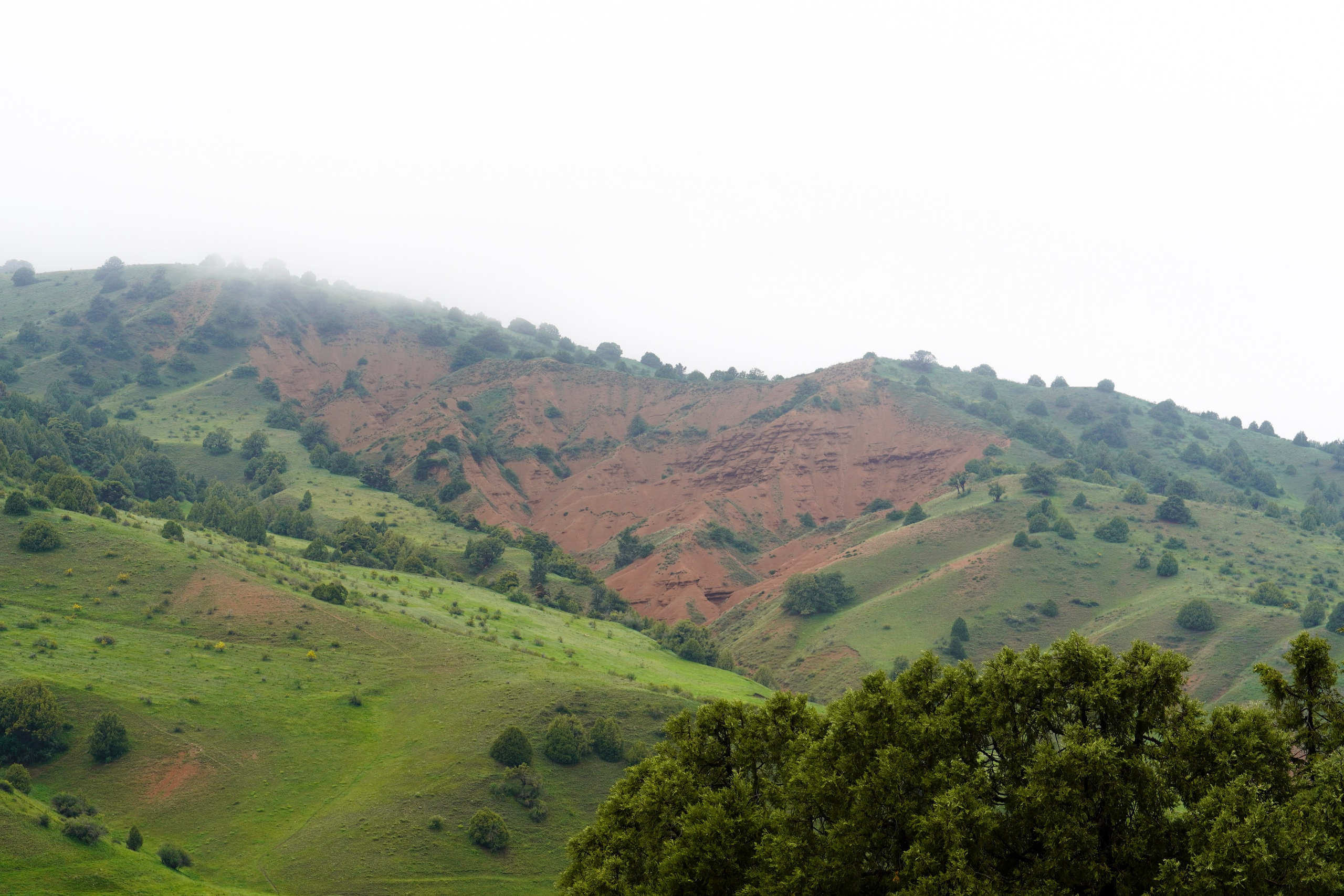 Zaamin Ultra. Melikov Amir, Uzbekistan based photographer