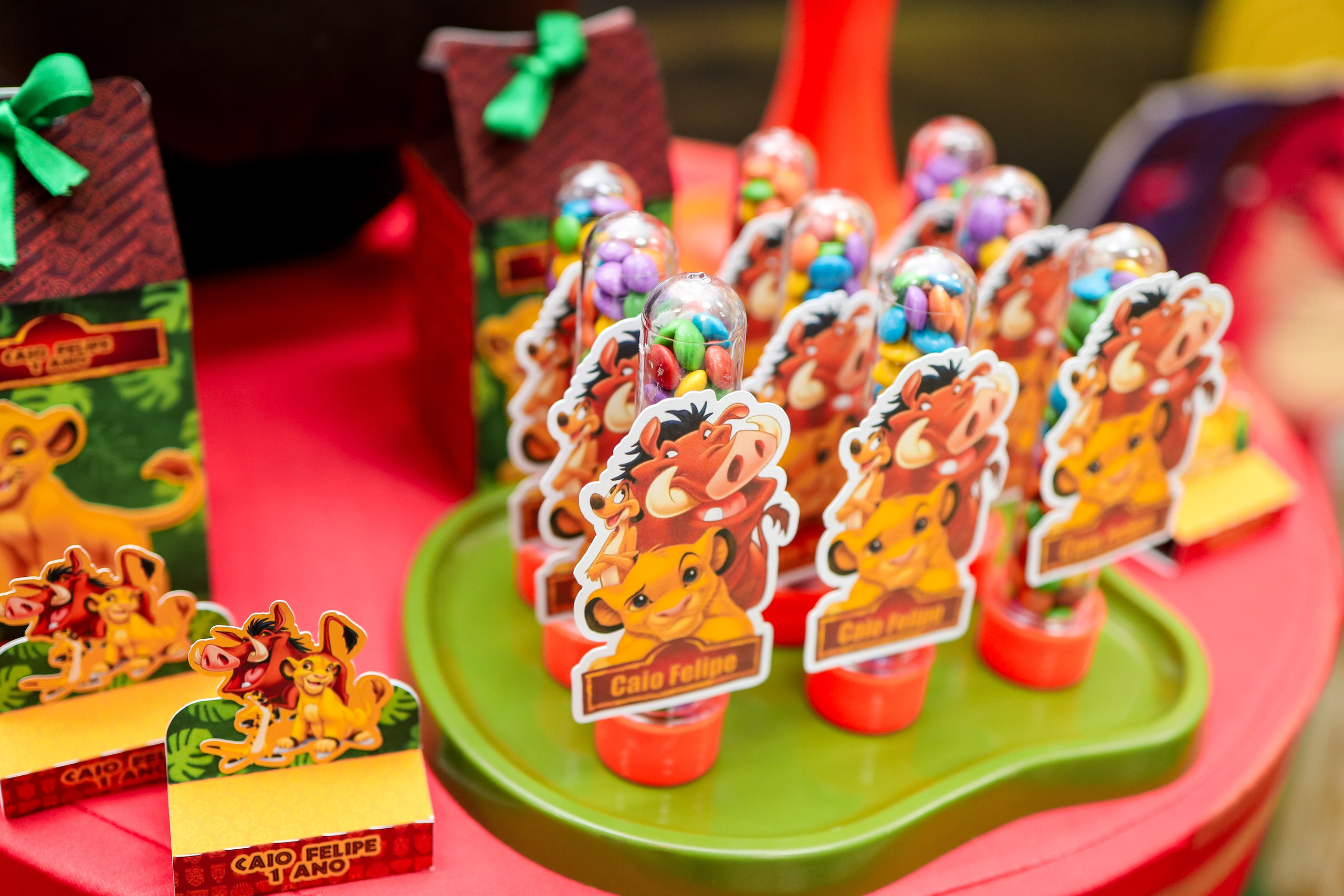 Festa Infantil. Fotógrafo de momentos Sagrados