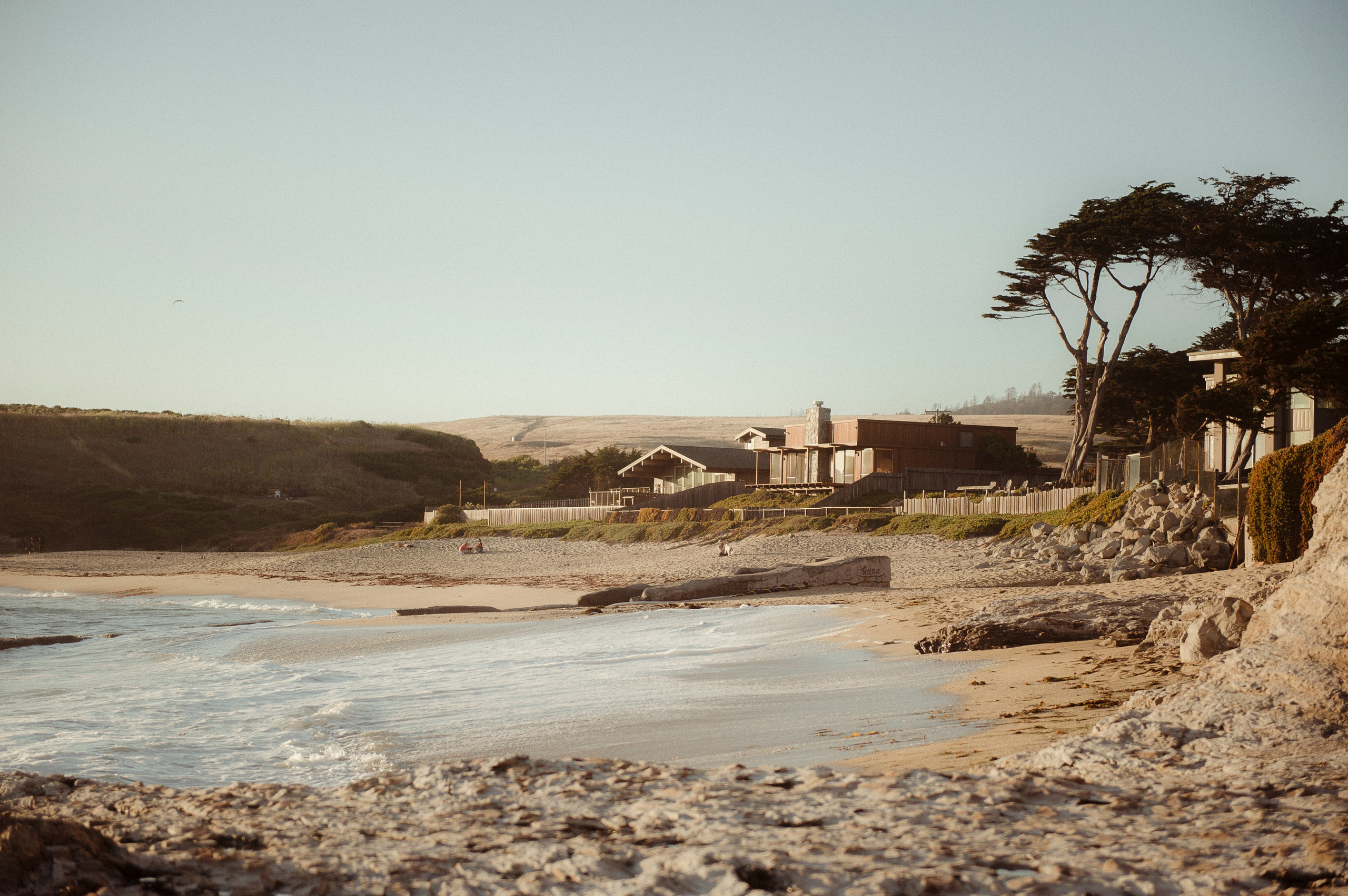 K & A. San Francisco Bay Area photographer Natalia Ilina