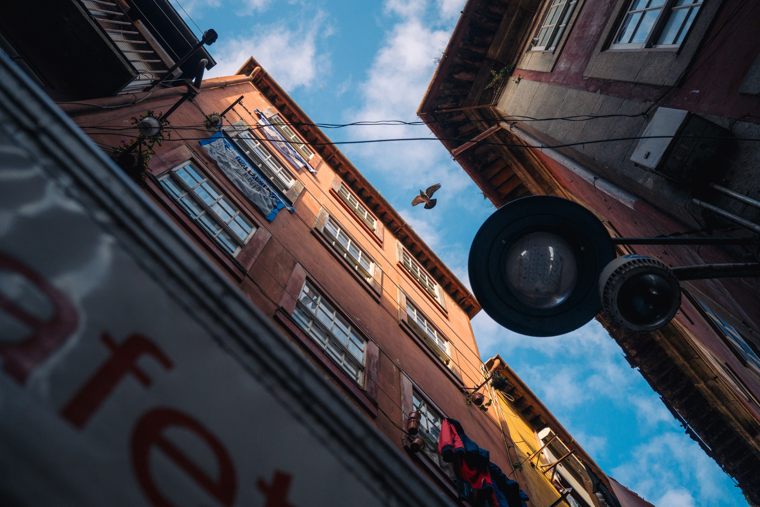 Street. Maria Sher. Professional photographer from Porto, Portugal